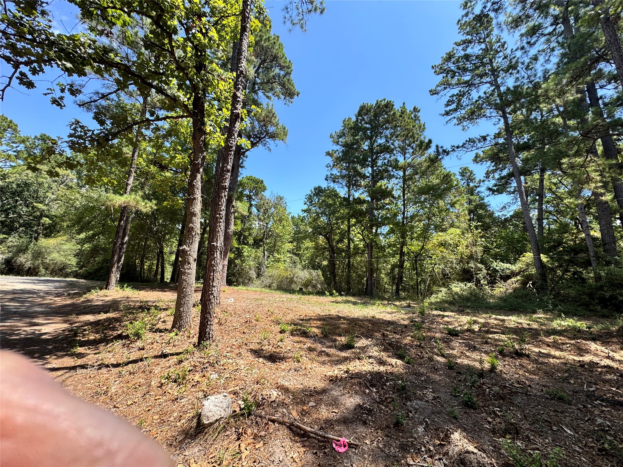 Tbd13 Sparrow Property Photo 5