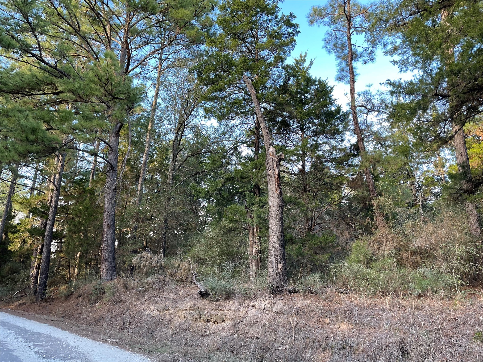2764 County Road 278 Property Photo 23