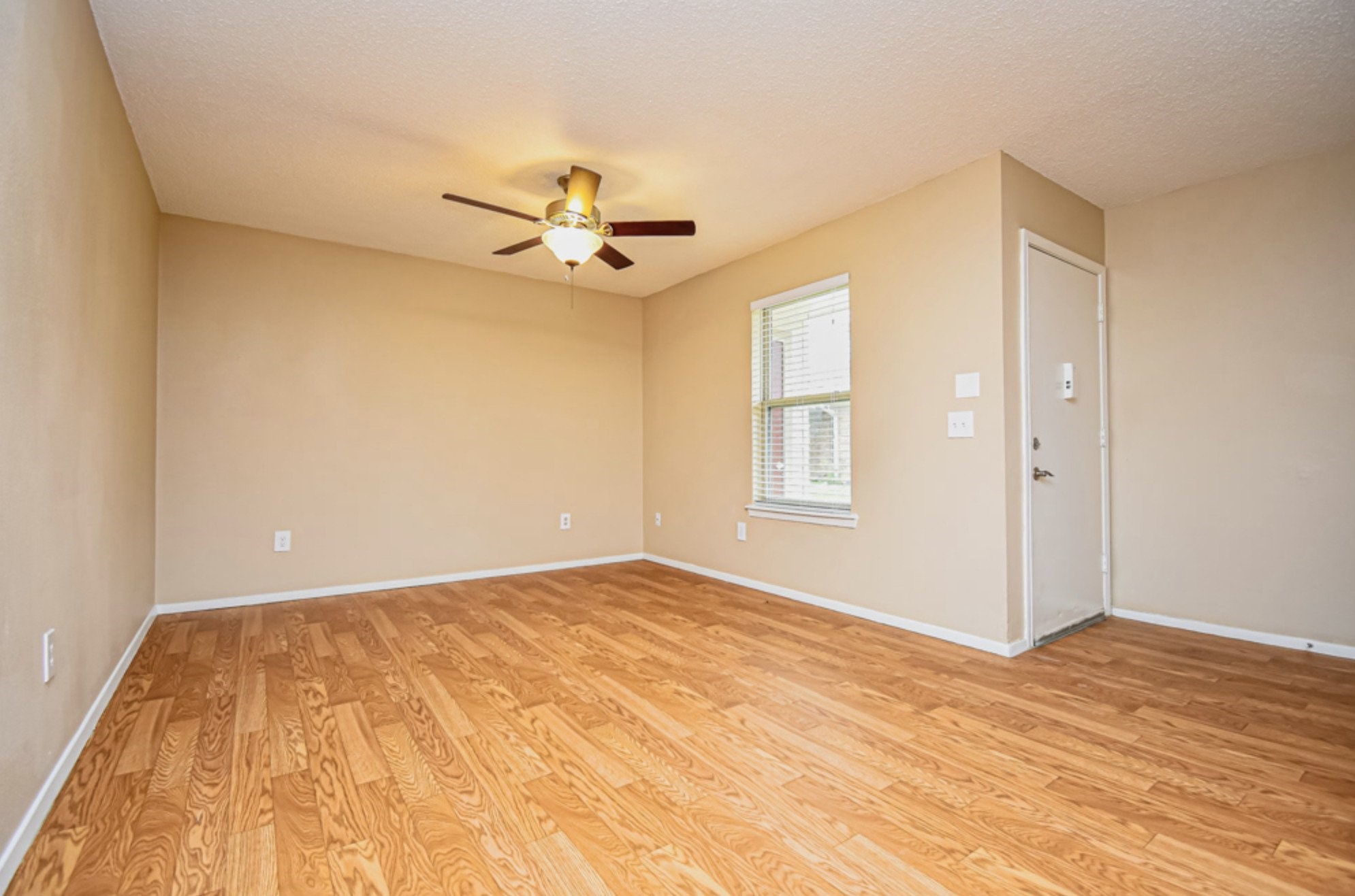 427 Martin St Property Photo 5