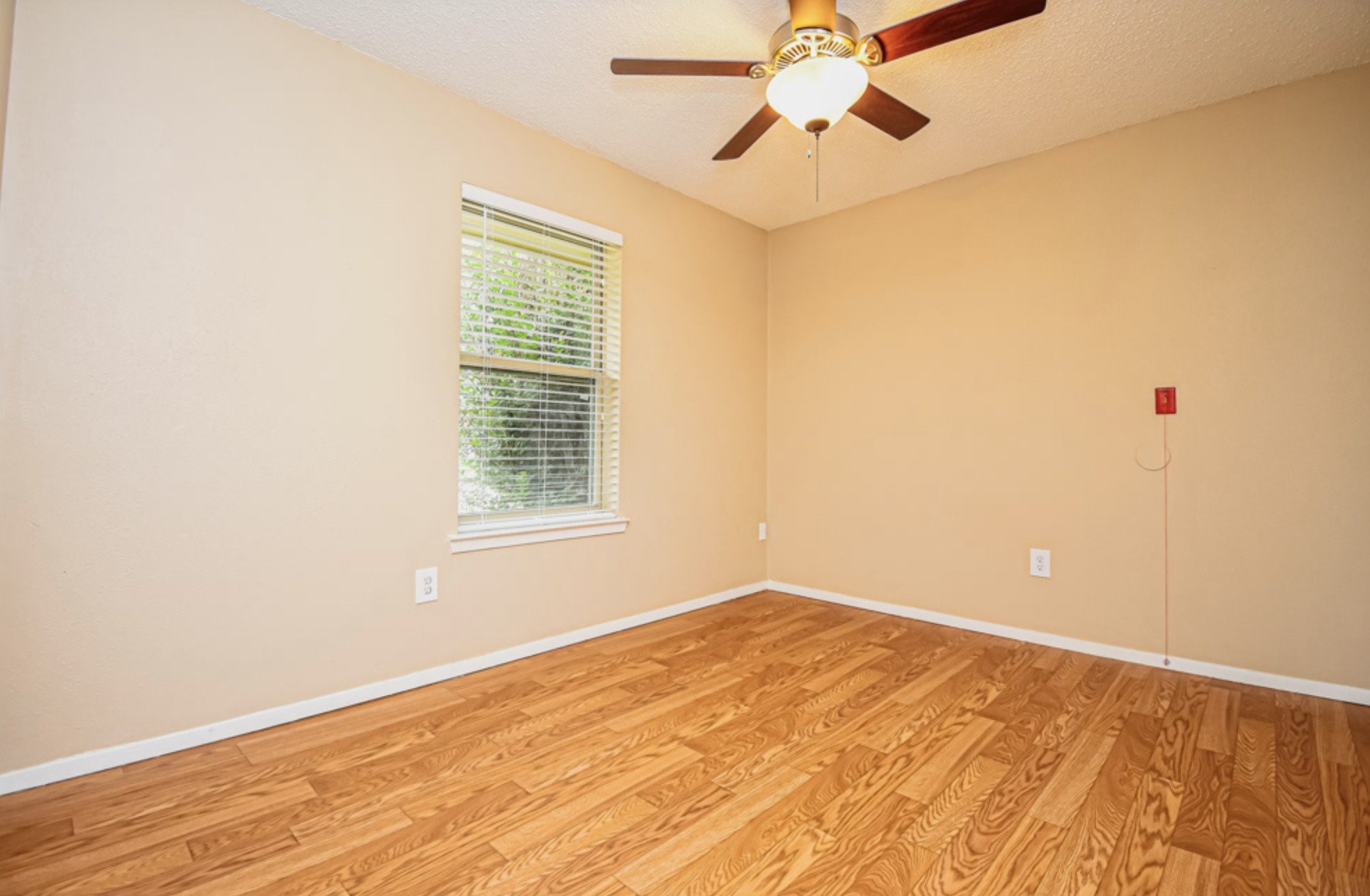 427 Martin St Property Photo 6