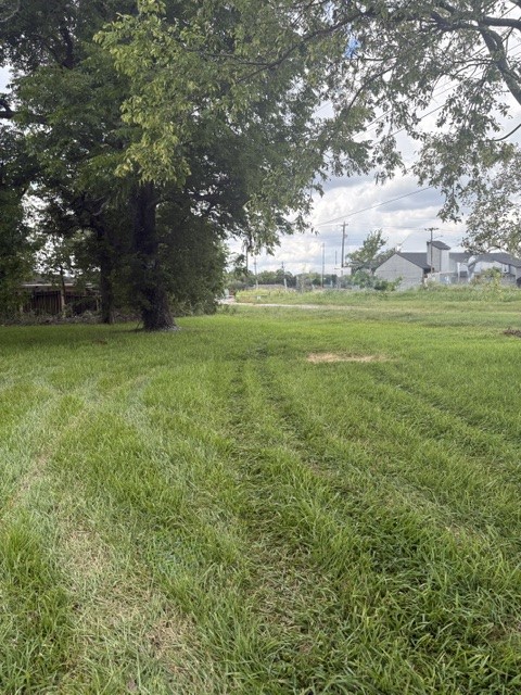 3517 Castor Street Property Photo 4