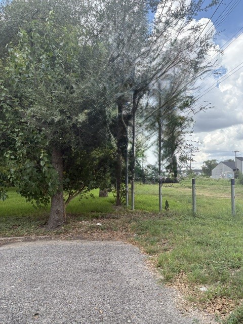 3517 Castor Street Property Photo 9