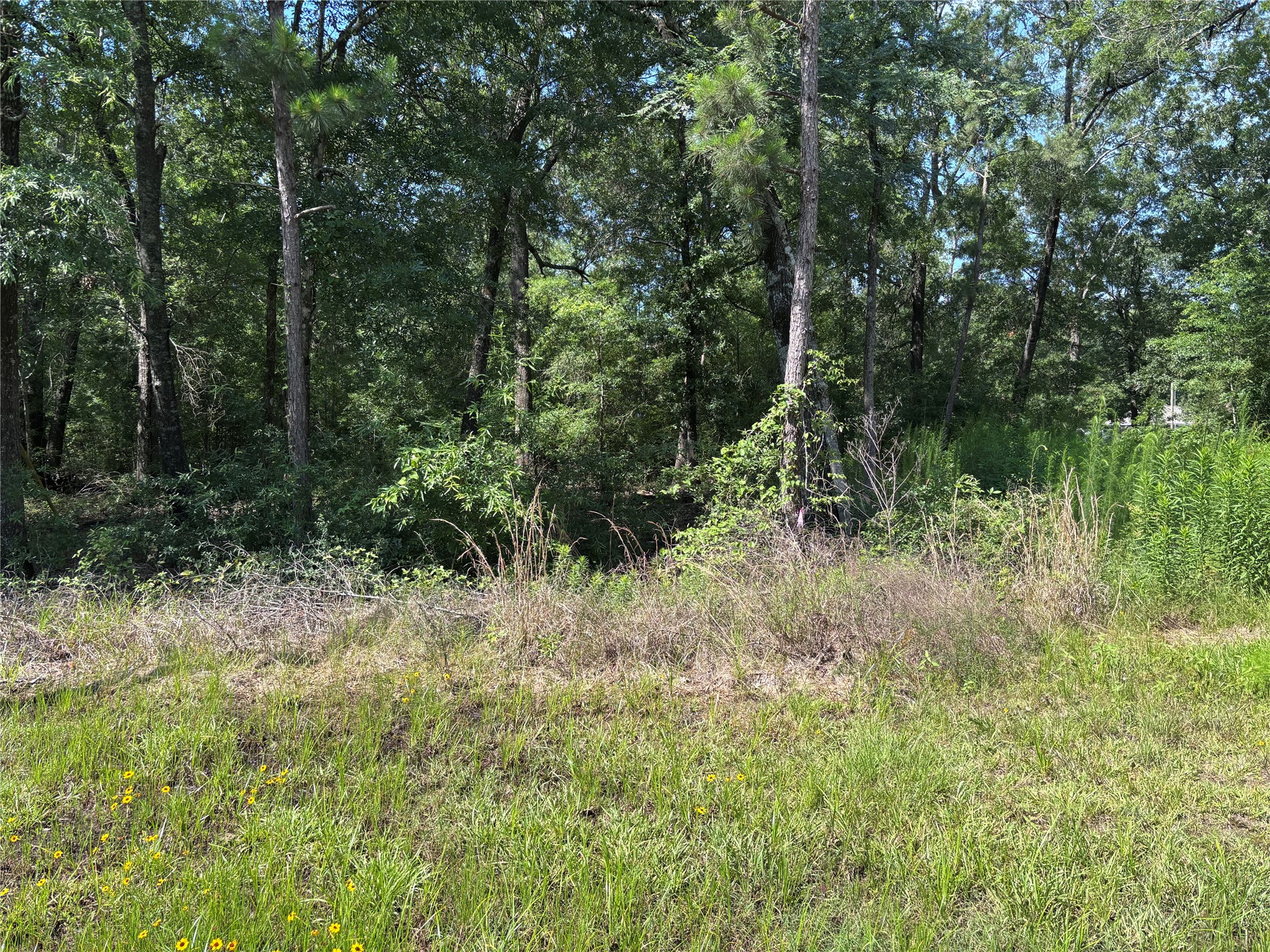 00 Southland Property Photo 2