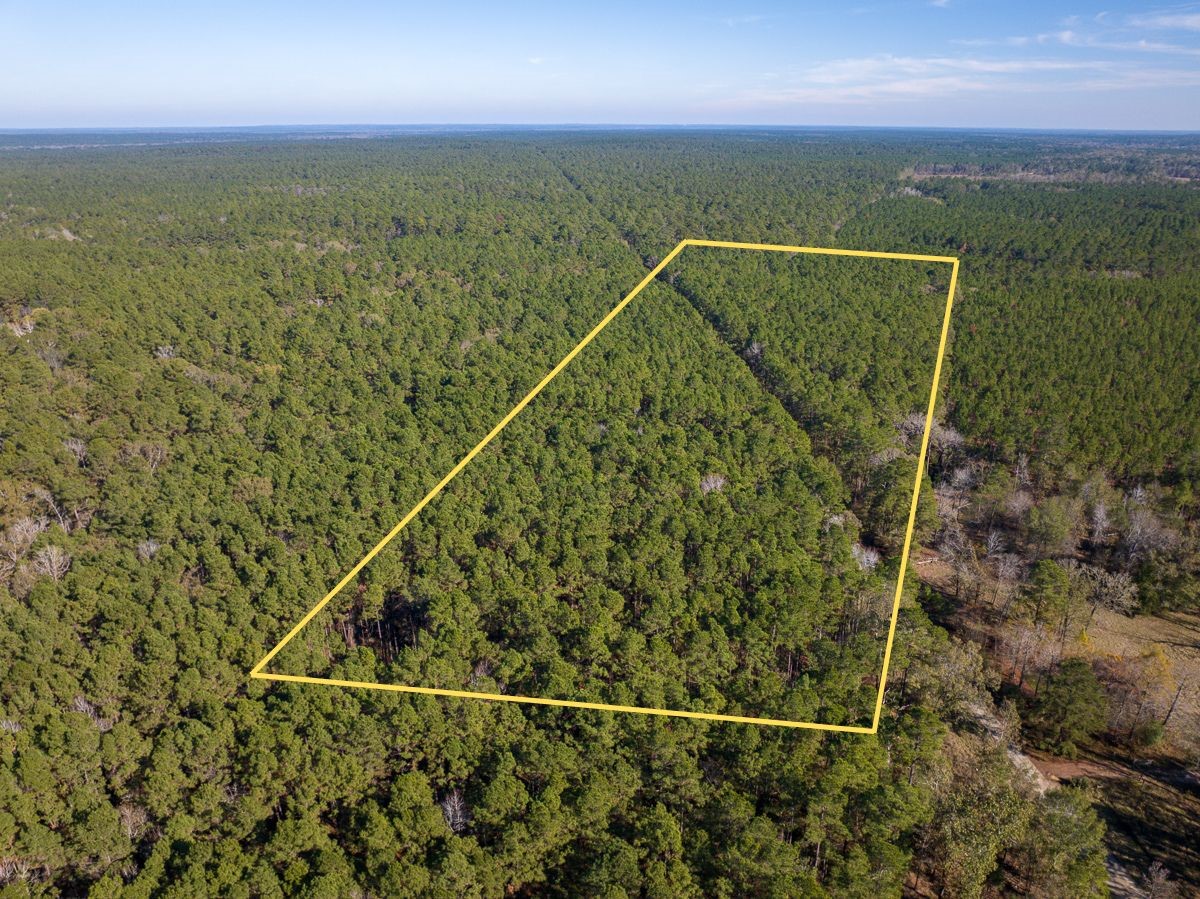 000 Forest Service Road 527 Property Photo 1