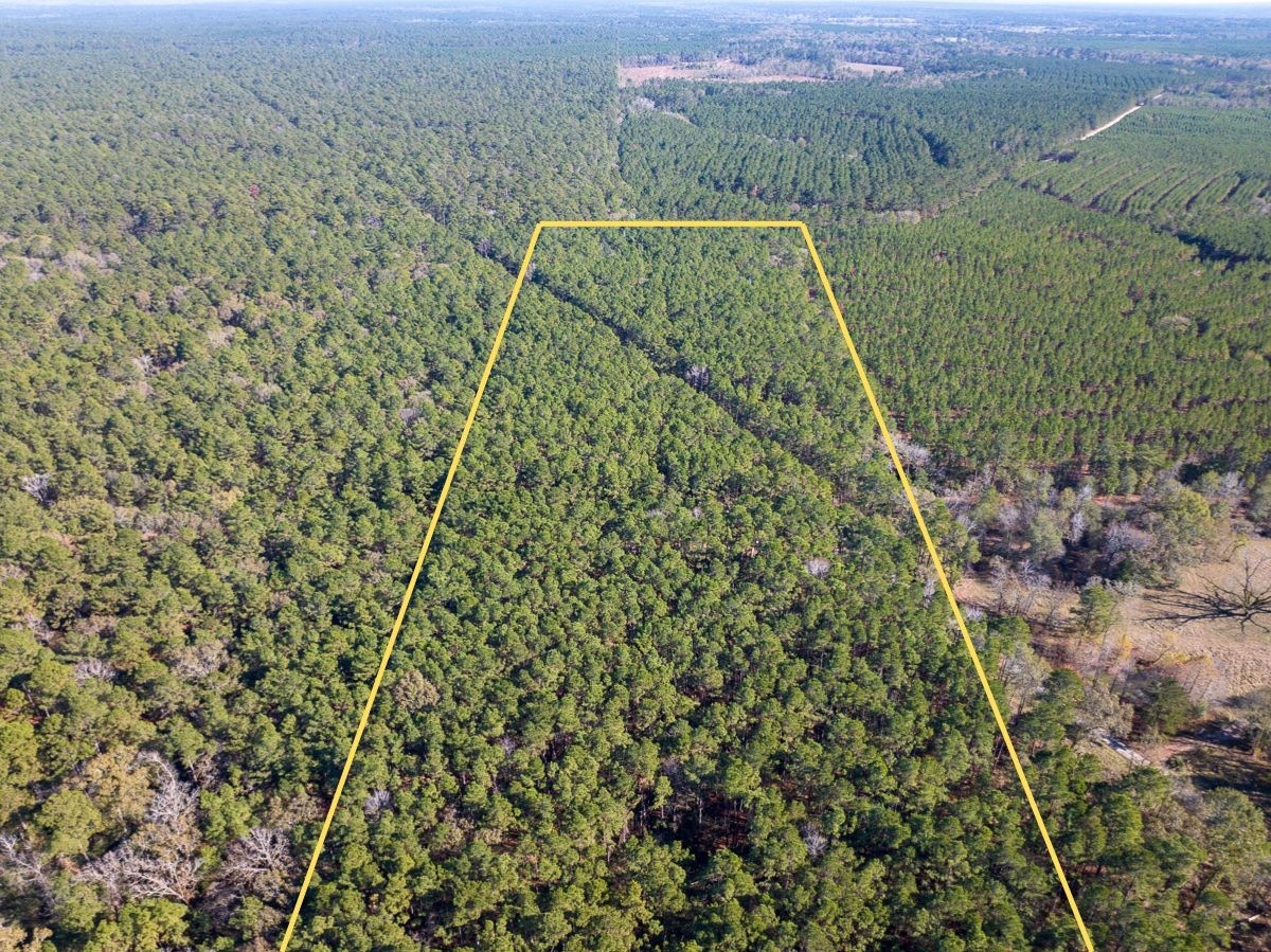 000 Forest Service Road 527 Property Photo 2