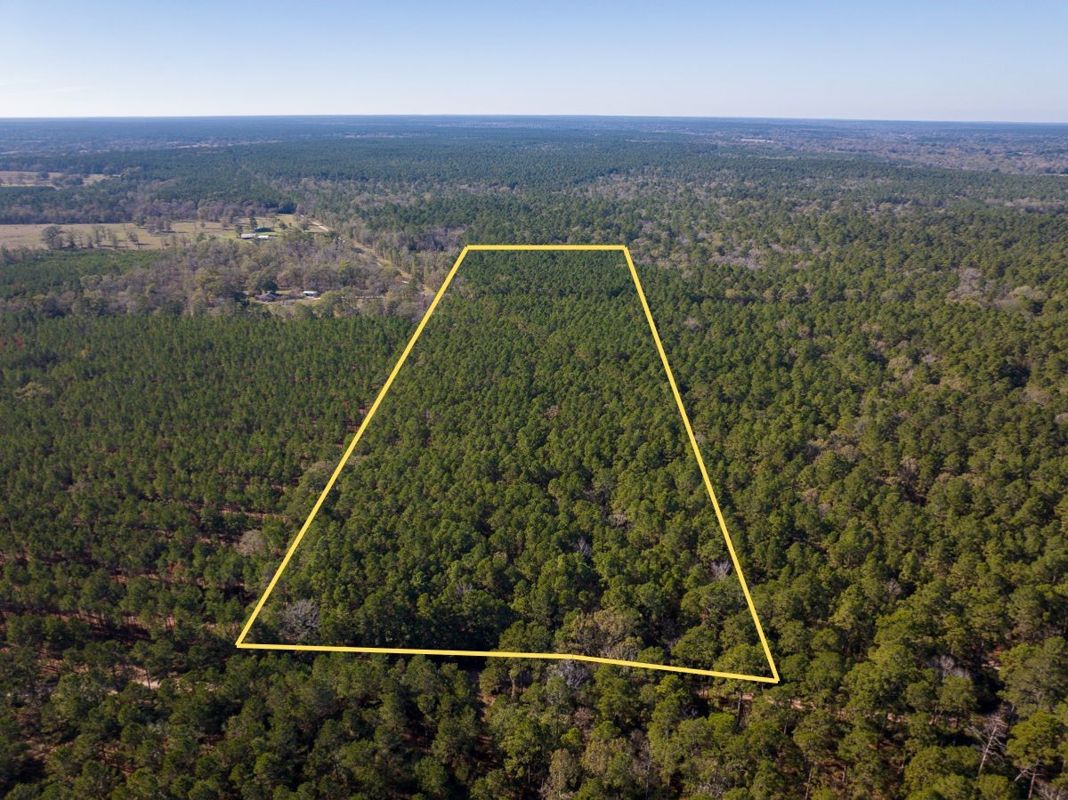 000 Forest Service Road 527 Property Photo 3