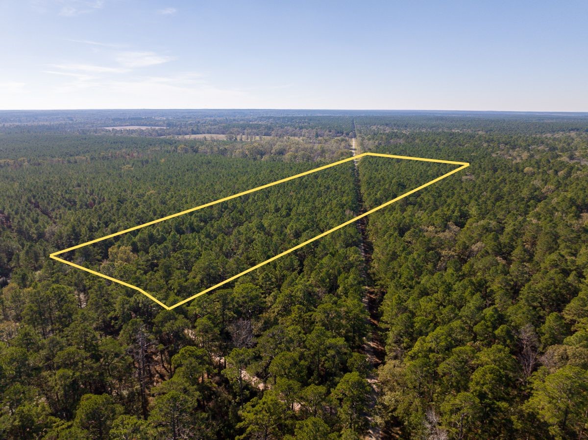 000 Forest Service Road 527 Property Photo 4