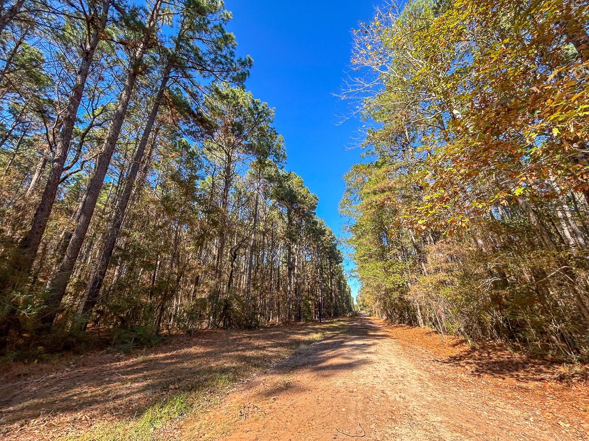 000 Forest Service Road 527 Property Photo 6