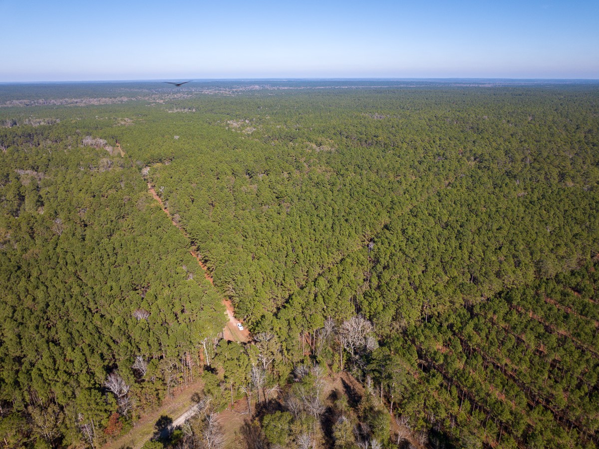 000 Forest Service Road 527 Property Photo 11