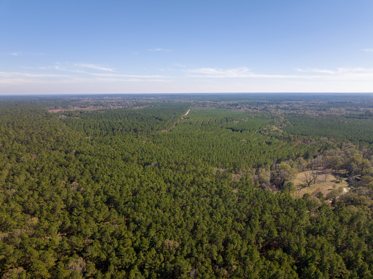 000 Forest Service Road 527 Property Photo 13