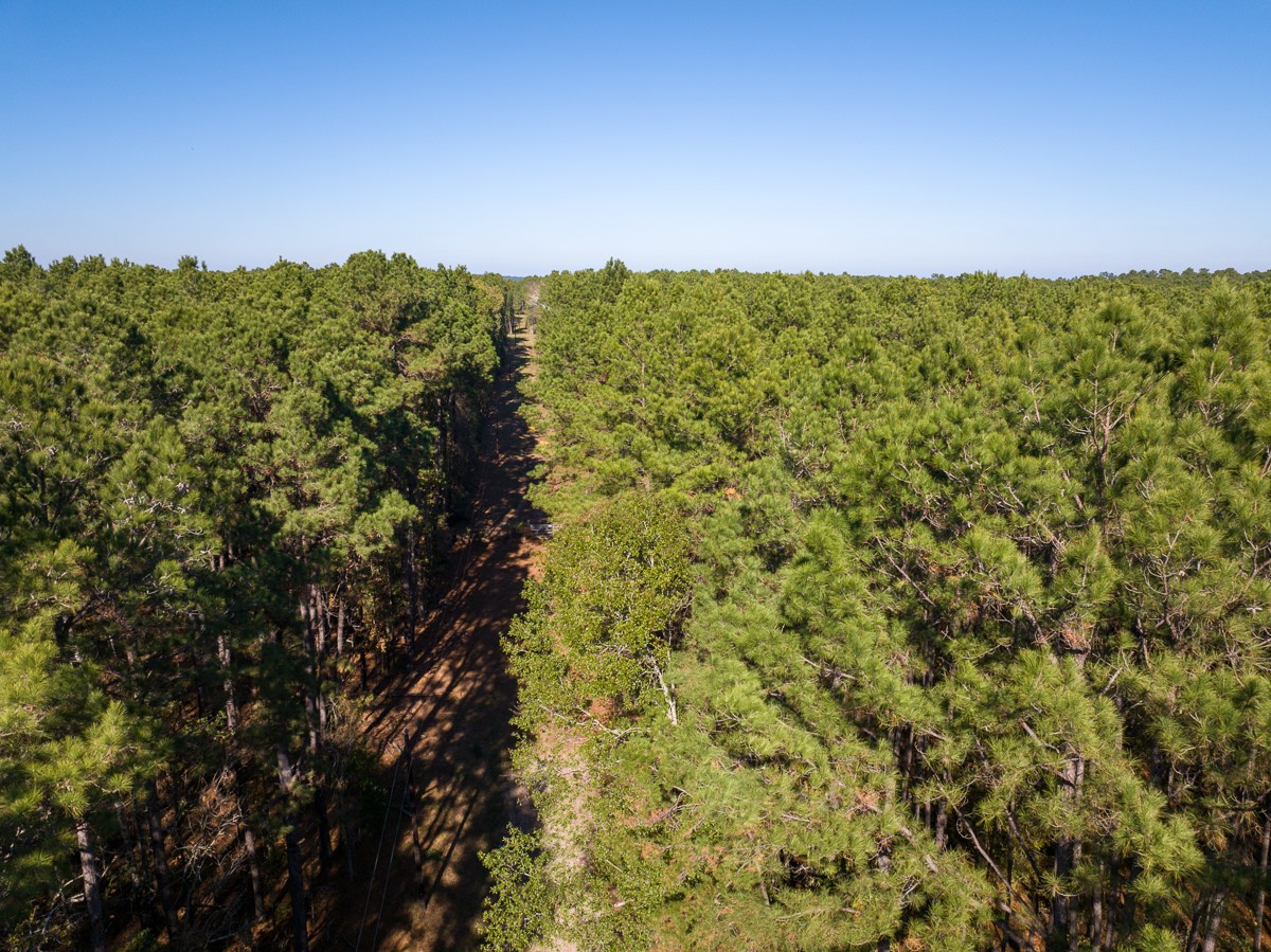 000 Forest Service Road 527 Property Photo 15