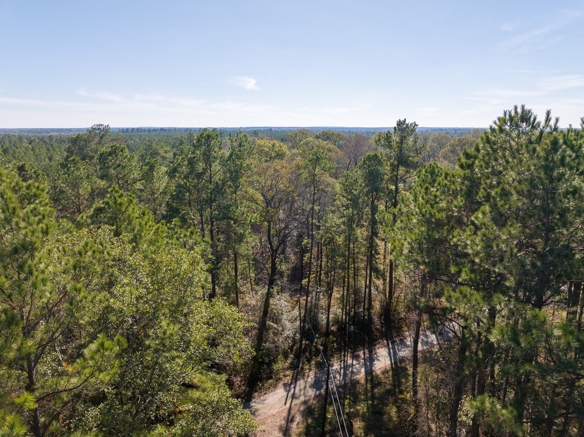 000 Forest Service Road 527 Property Photo 16