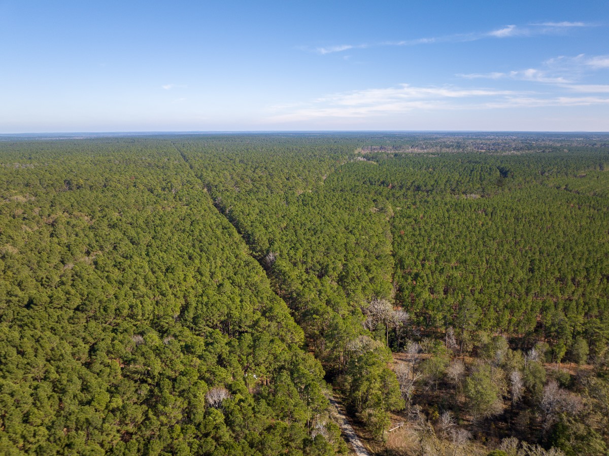 000 Forest Service Road 527 Property Photo 17