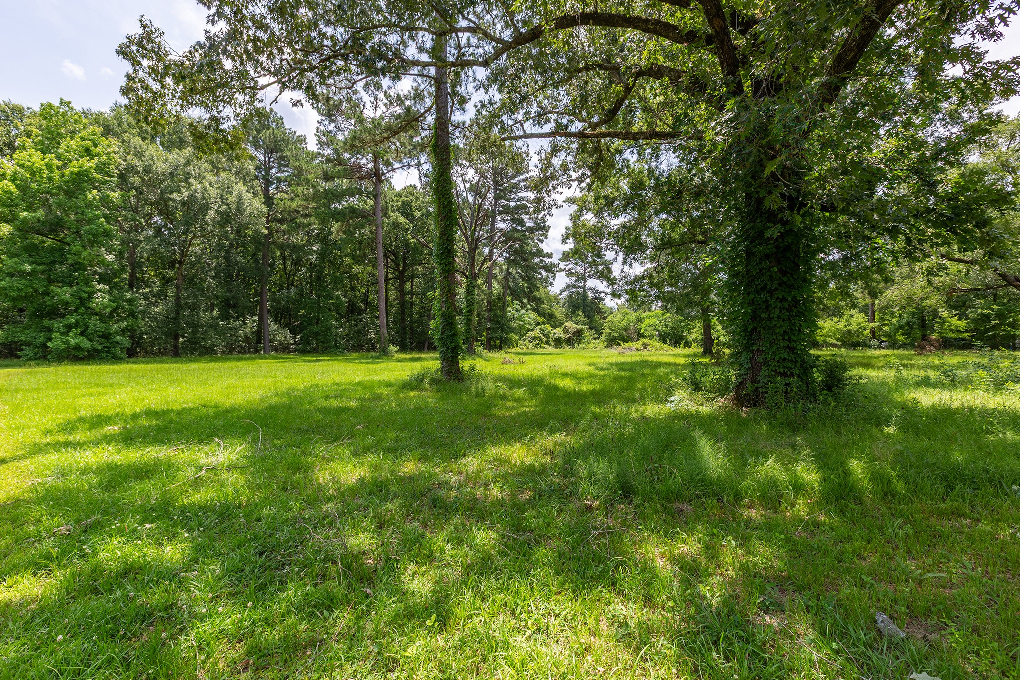1278 Fm 2610 Road Property Photo 44