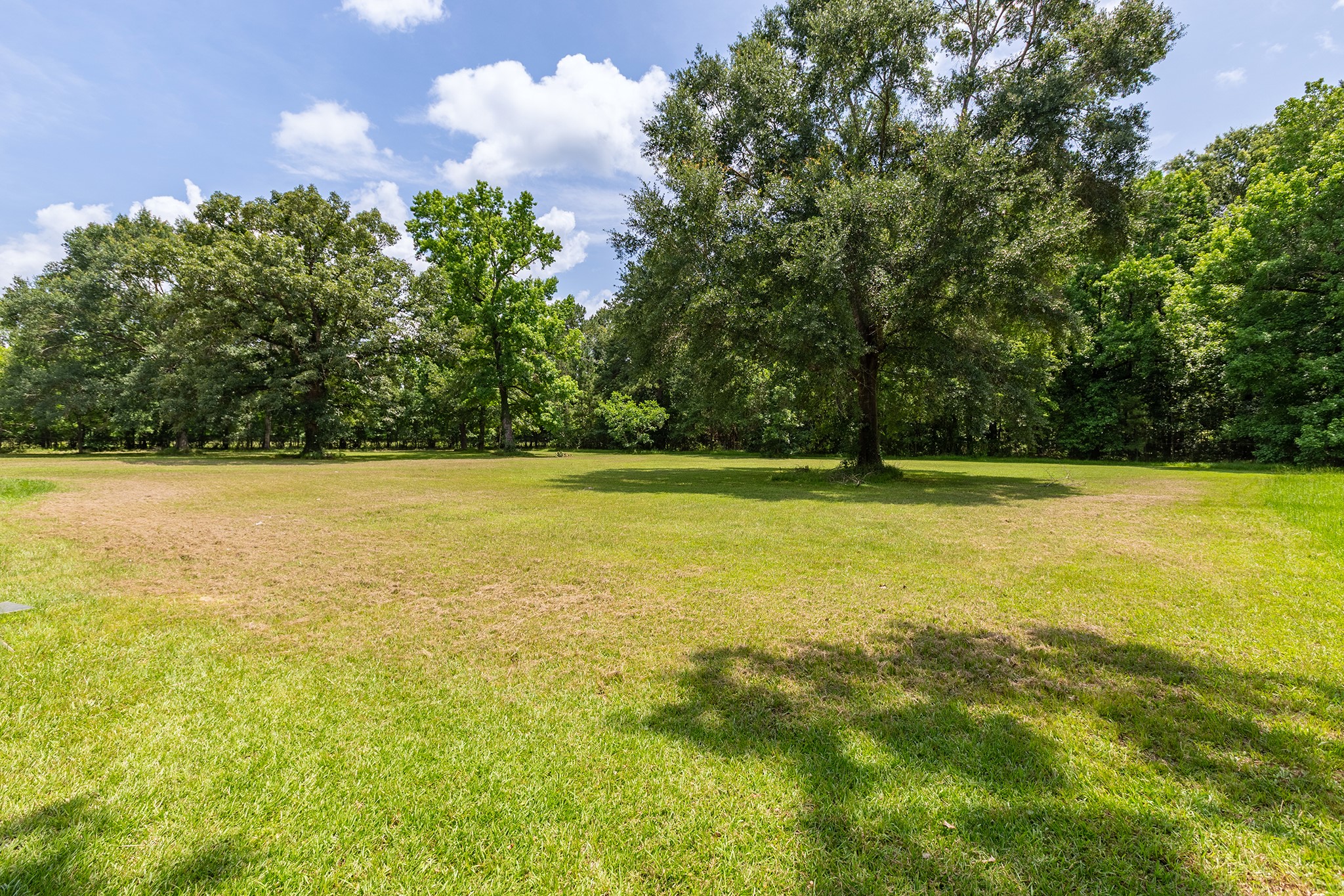 1278 Fm 2610 Road Property Photo 46