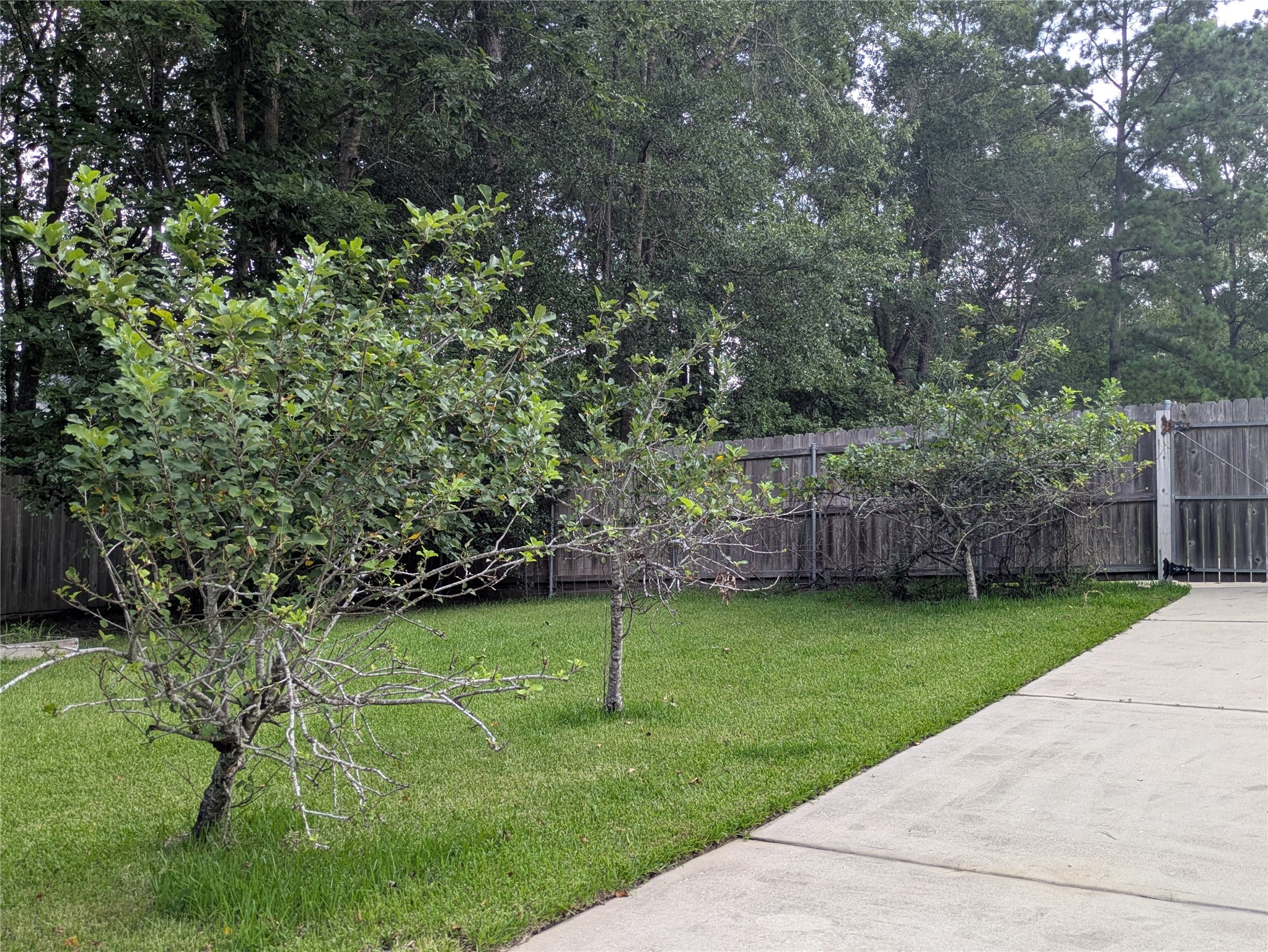 28235 Lazy Rock Drive Property Photo 29