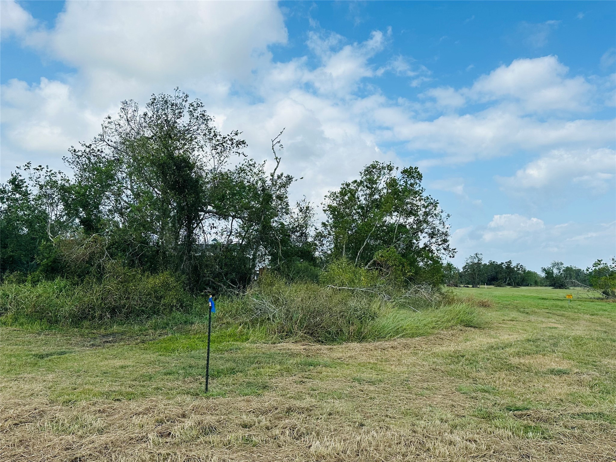 101 Trailblazer Drive Property Photo 4