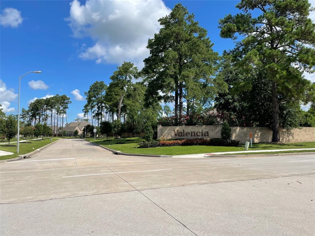 13603 Rollins Green Lane Property Photo 3