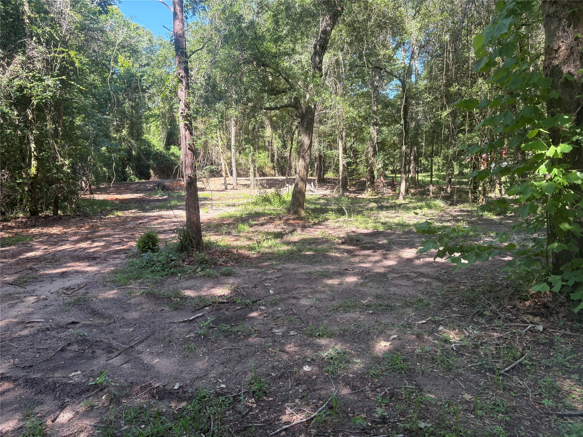 25111 N Clear Creek Road Property Photo 3