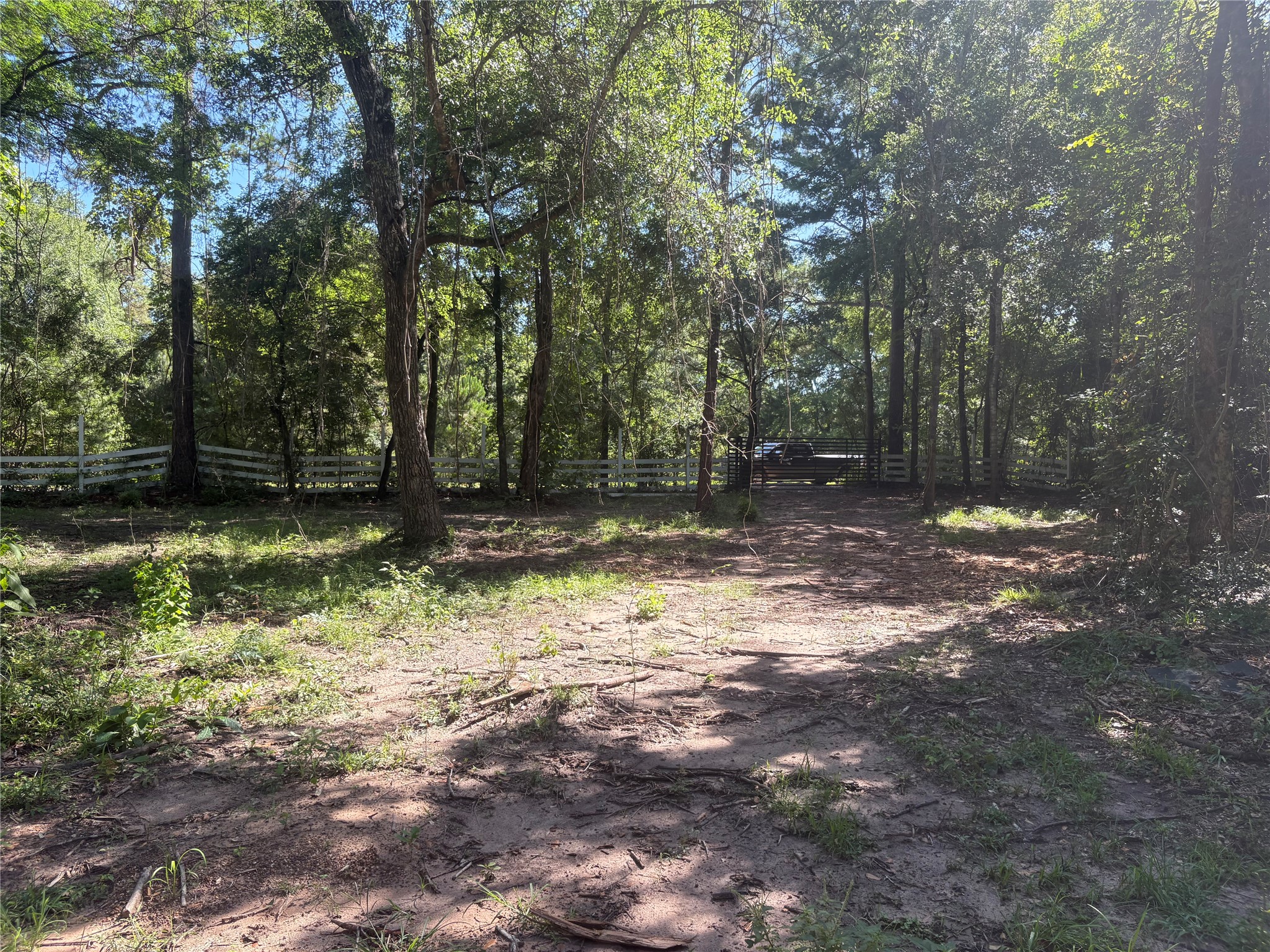 25111 N Clear Creek Road Property Photo 6