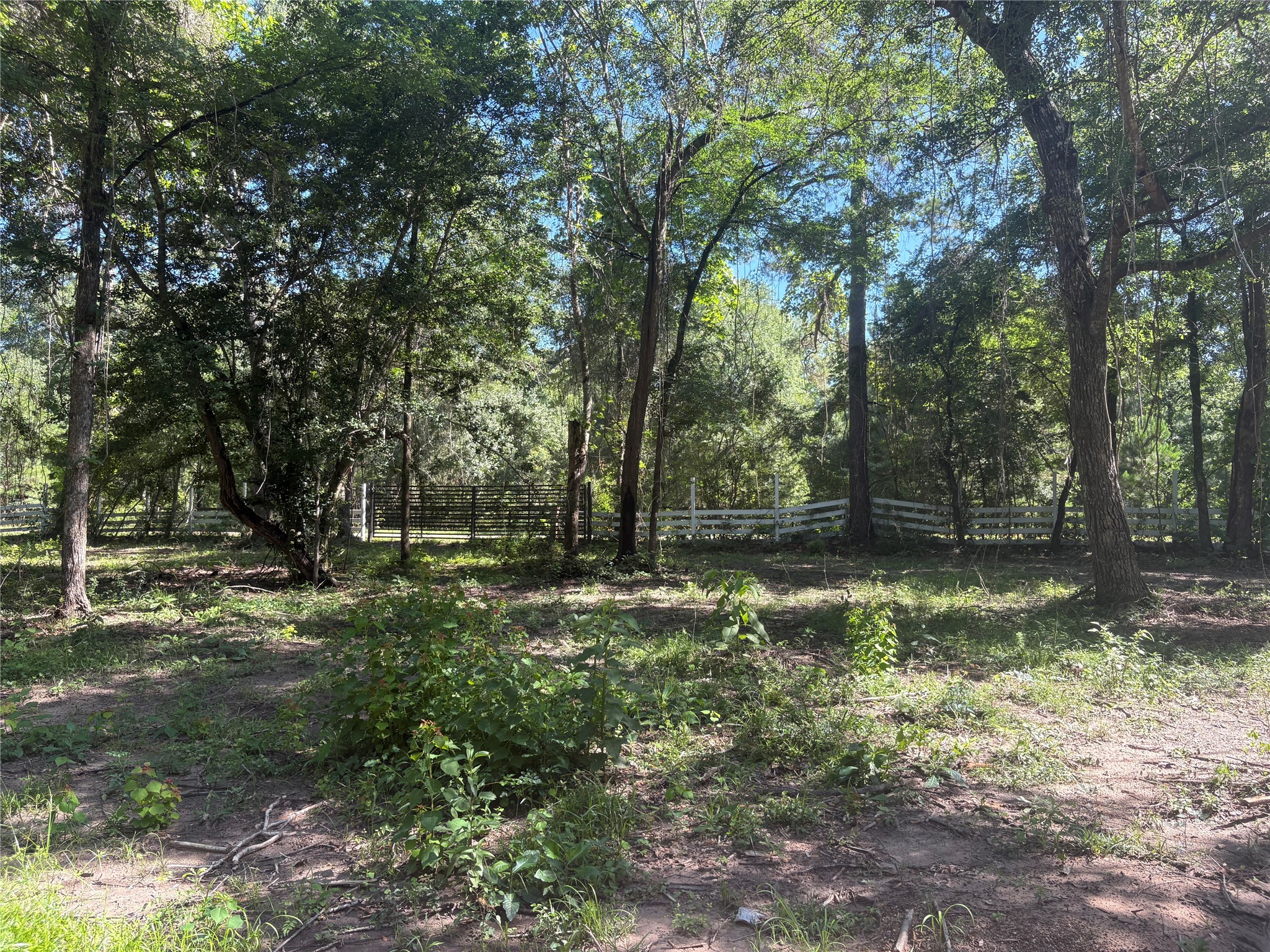 25111 N Clear Creek Road Property Photo 7