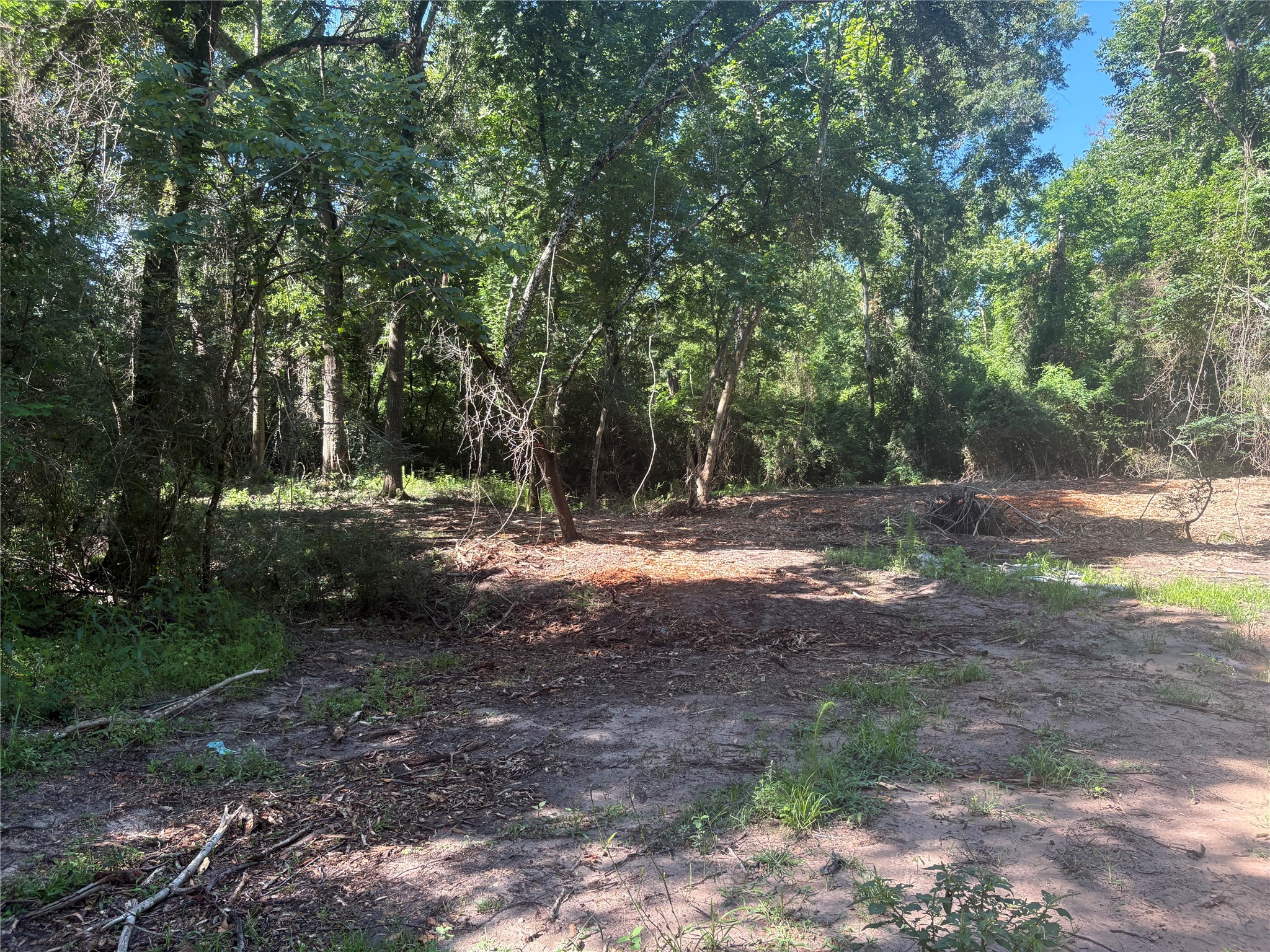 25111 N Clear Creek Road Property Photo 8