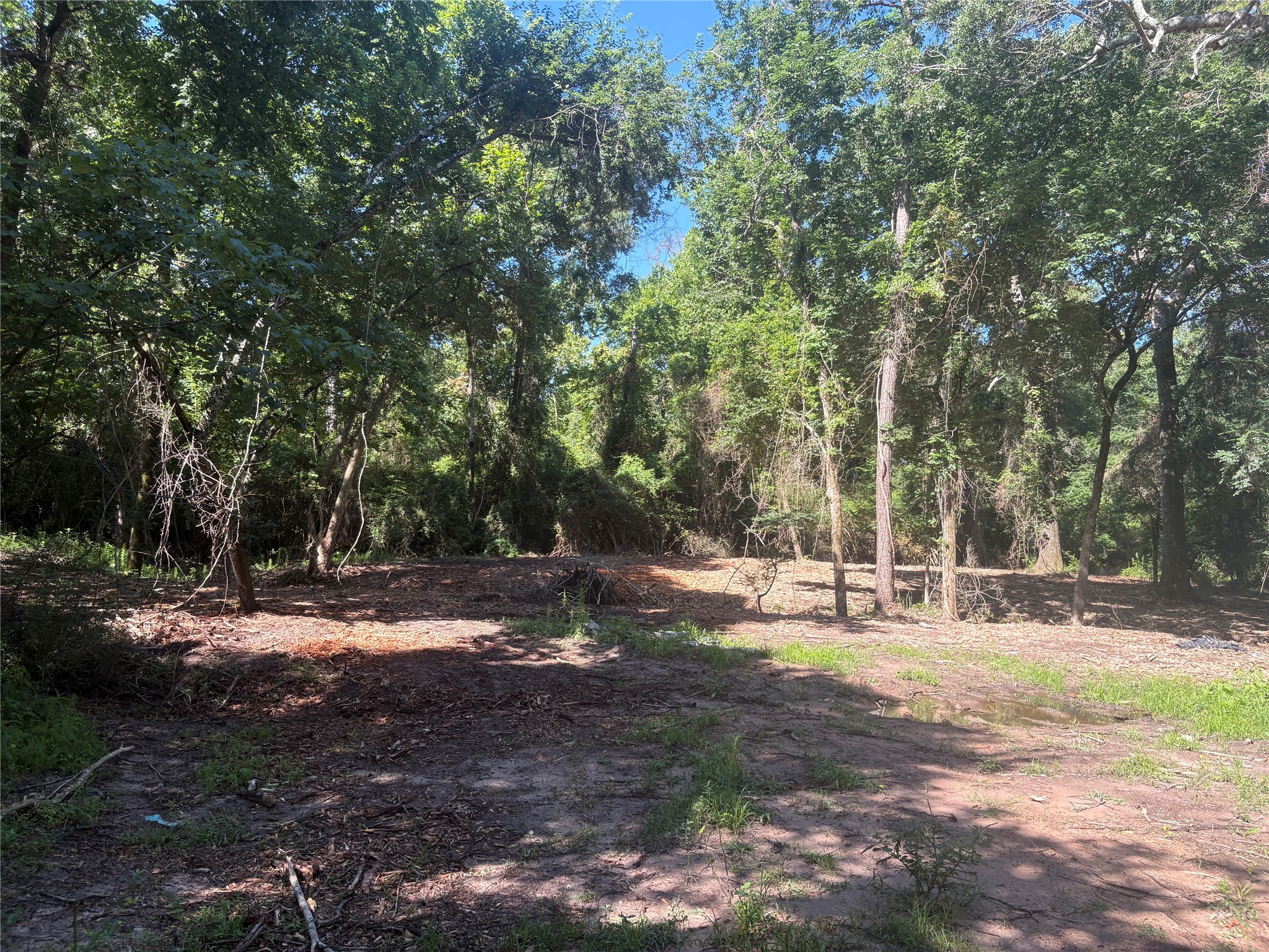 25111 N Clear Creek Road Property Photo 9