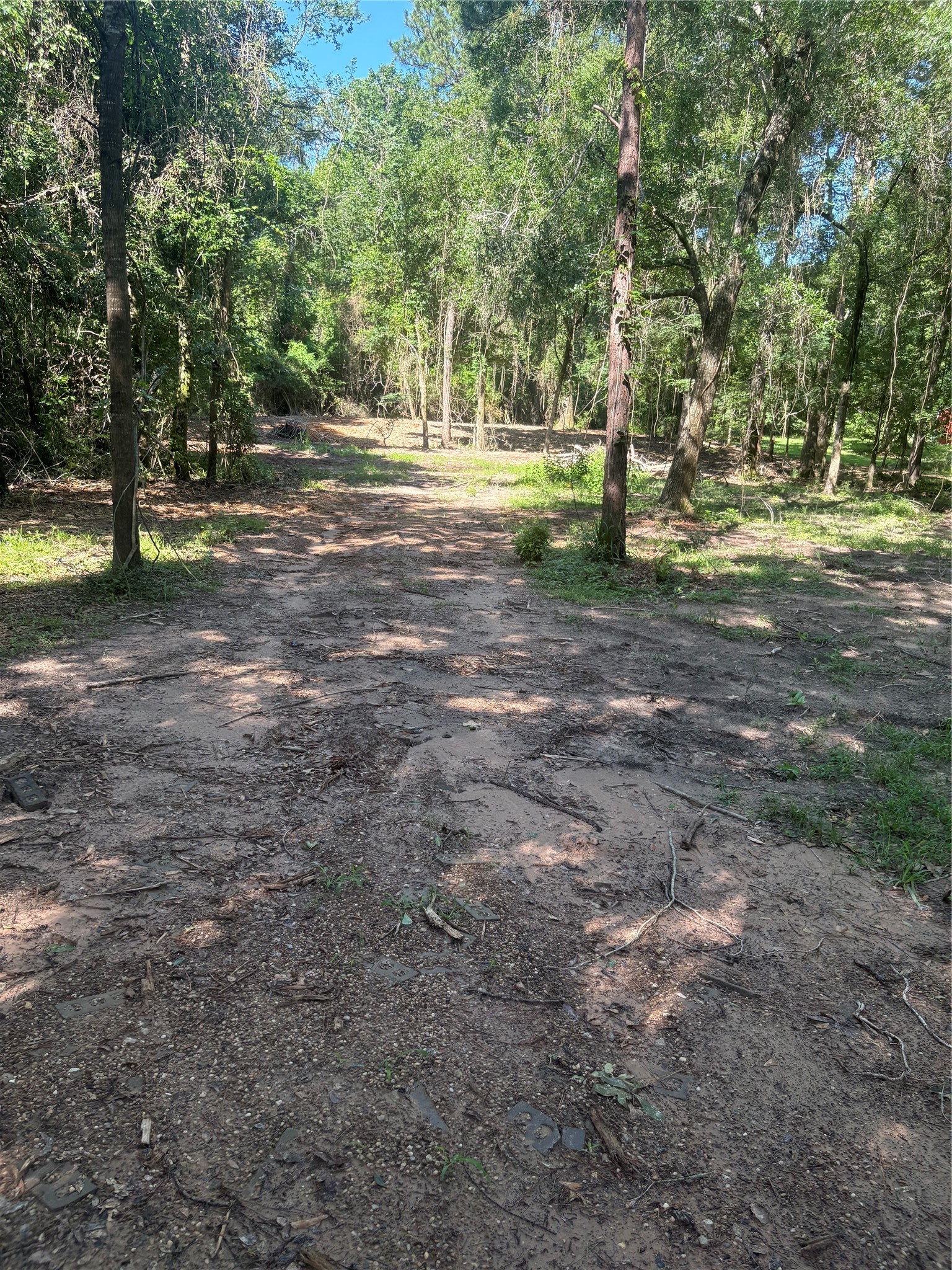 25111 N Clear Creek Road Property Photo 10