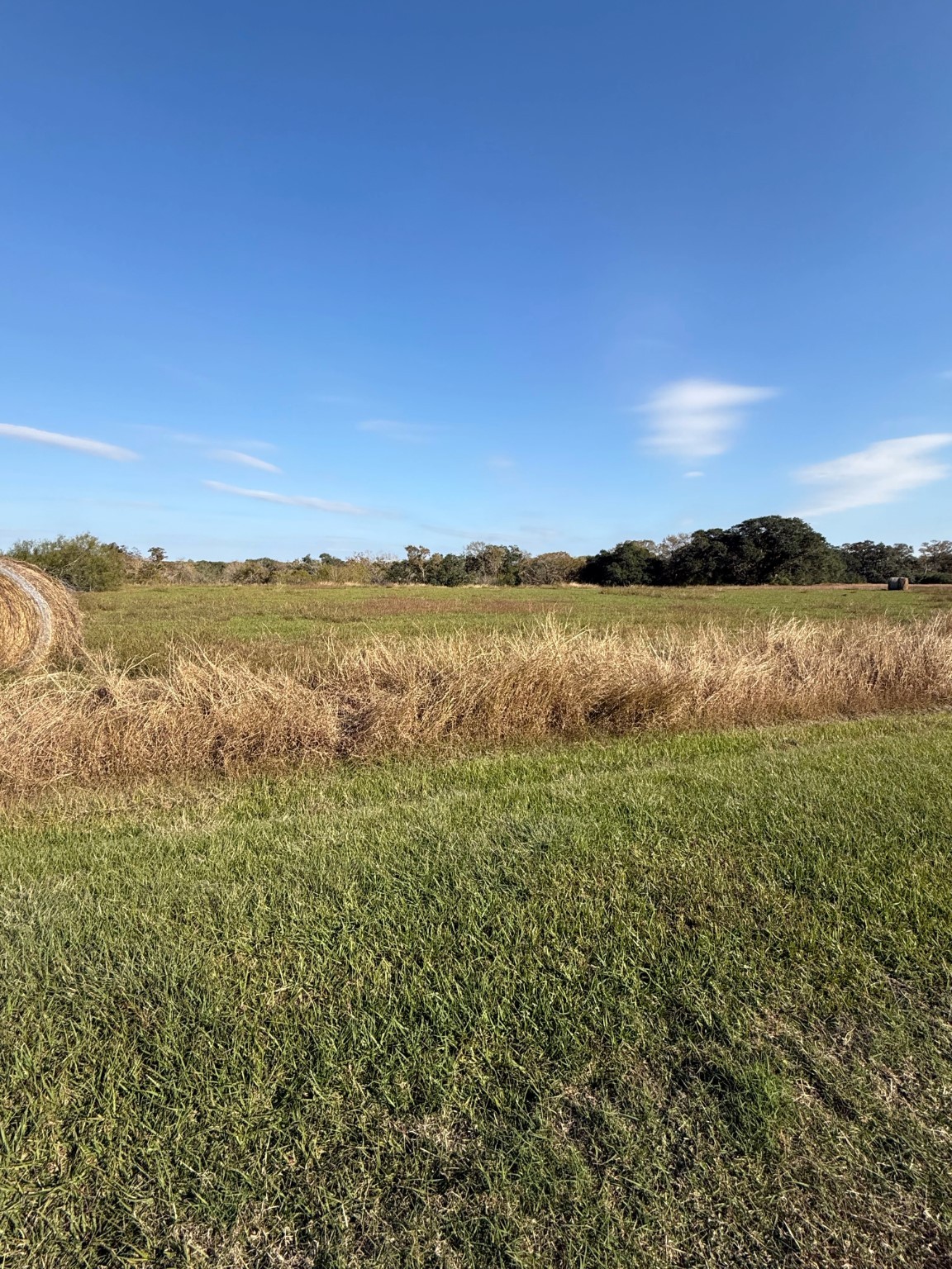000 River Hollow Way Property Photo 1