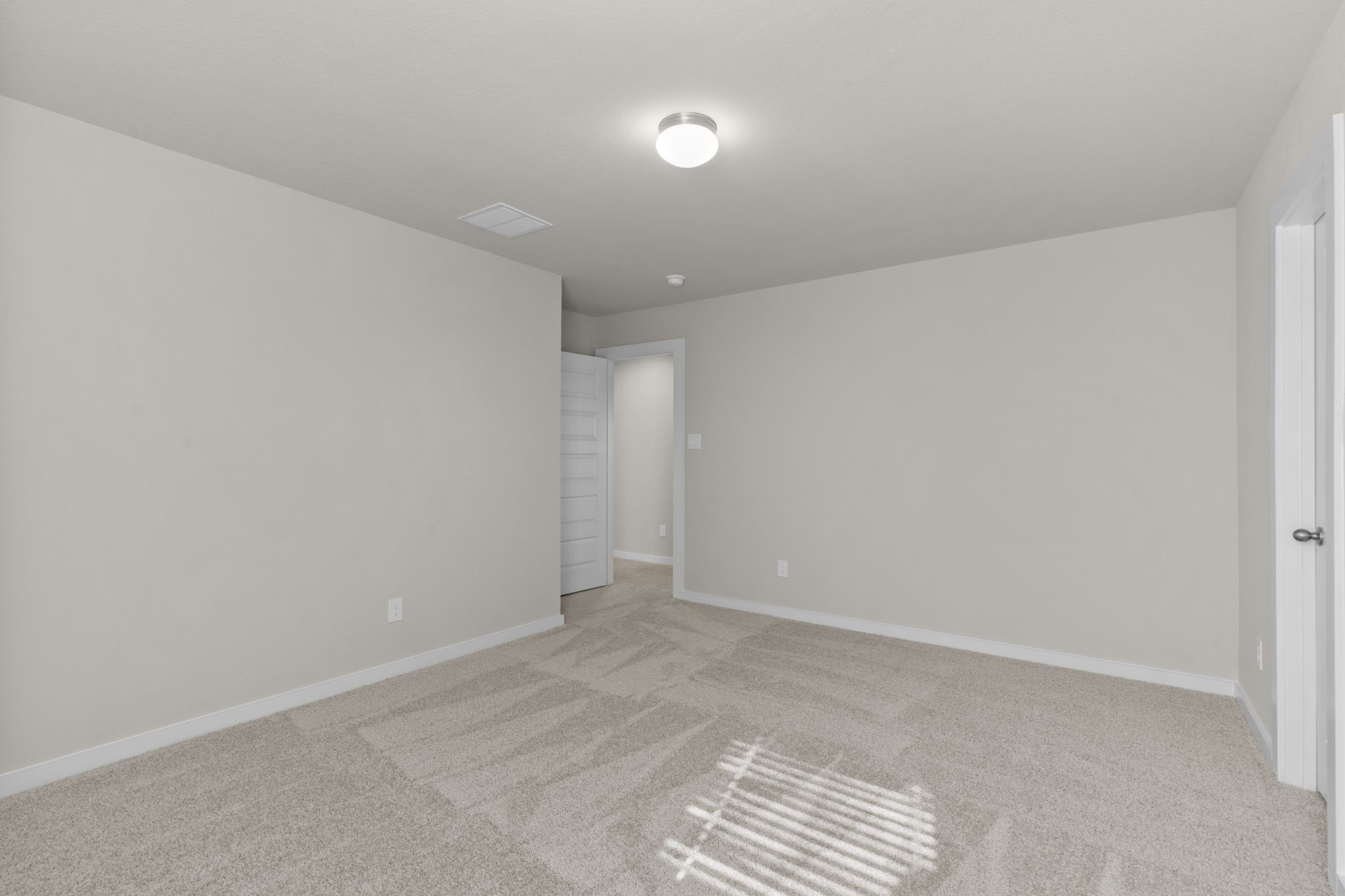 3834 Downy Birch Lane Property Photo 29