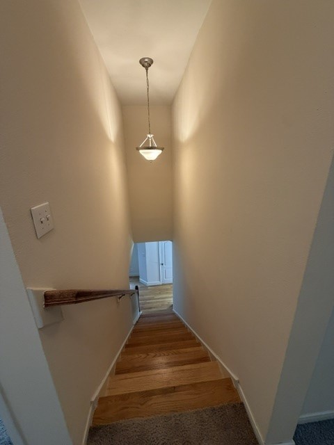 5331 Timber Court Hollow Drive Property Photo 9