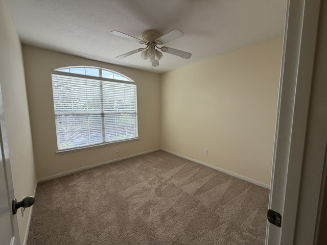 5331 Timber Court Hollow Drive Property Photo 14