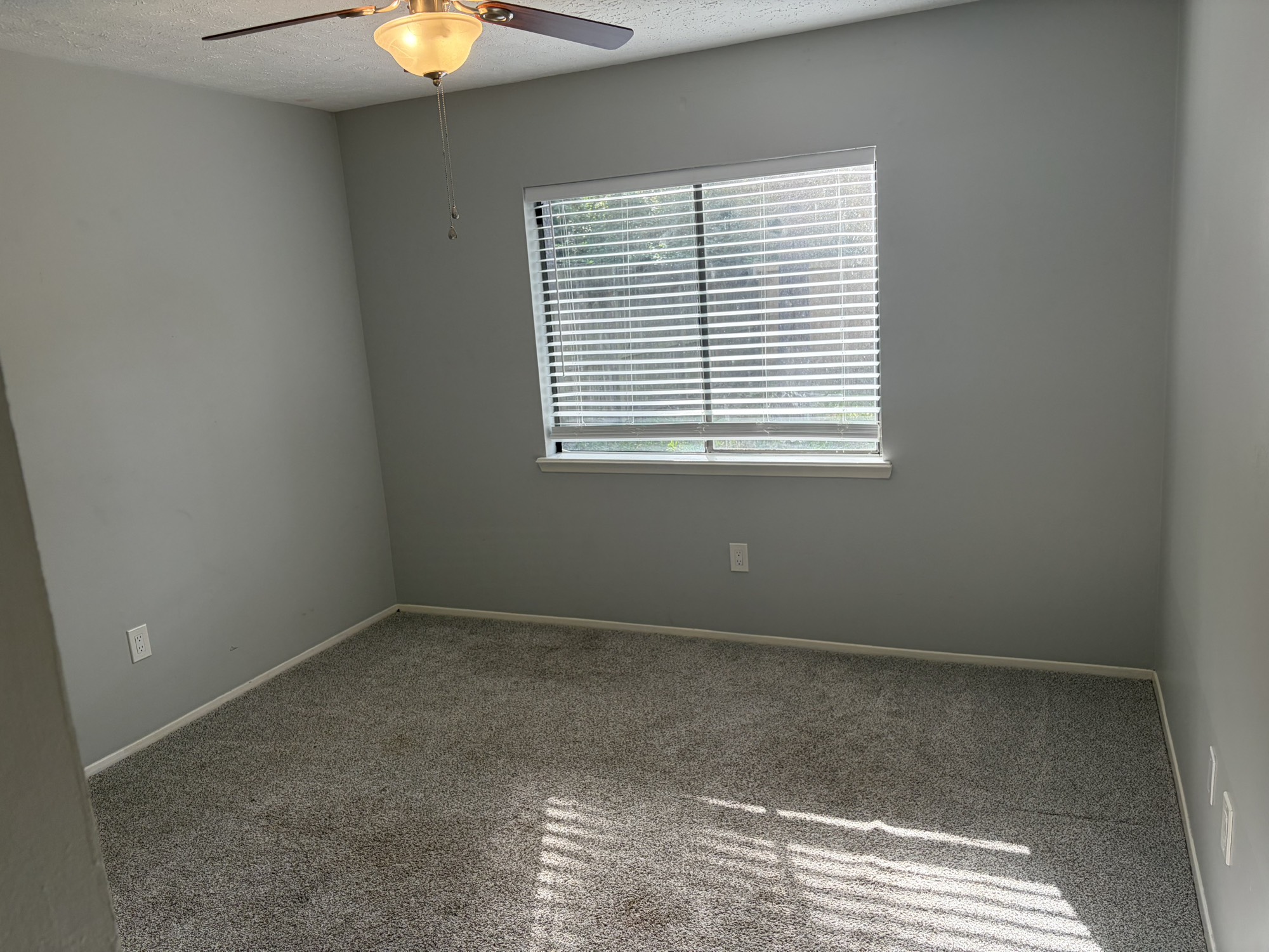 17 Capewood Court Property Photo 9