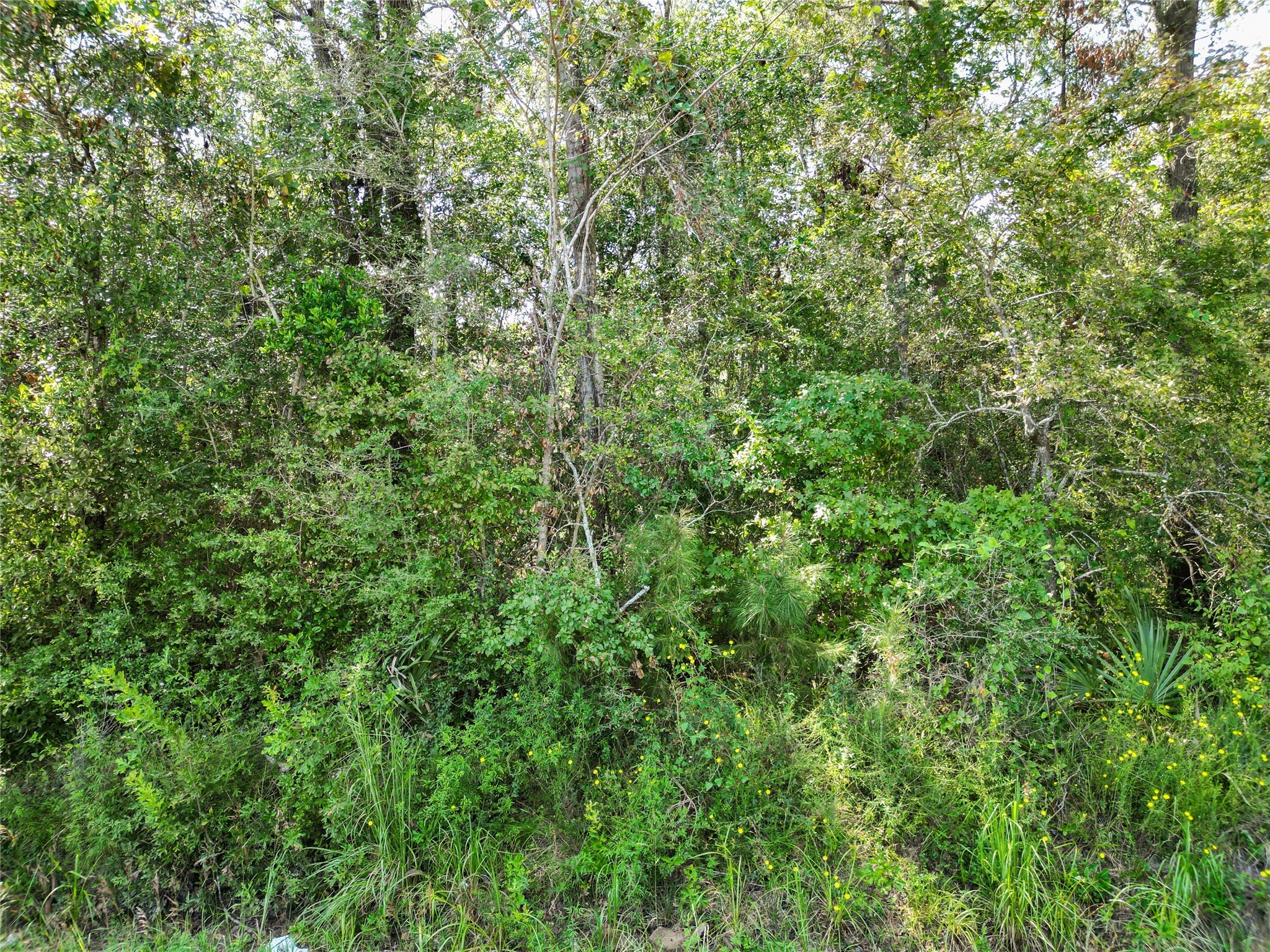 Tbd Fm 3152 Property Photo 8