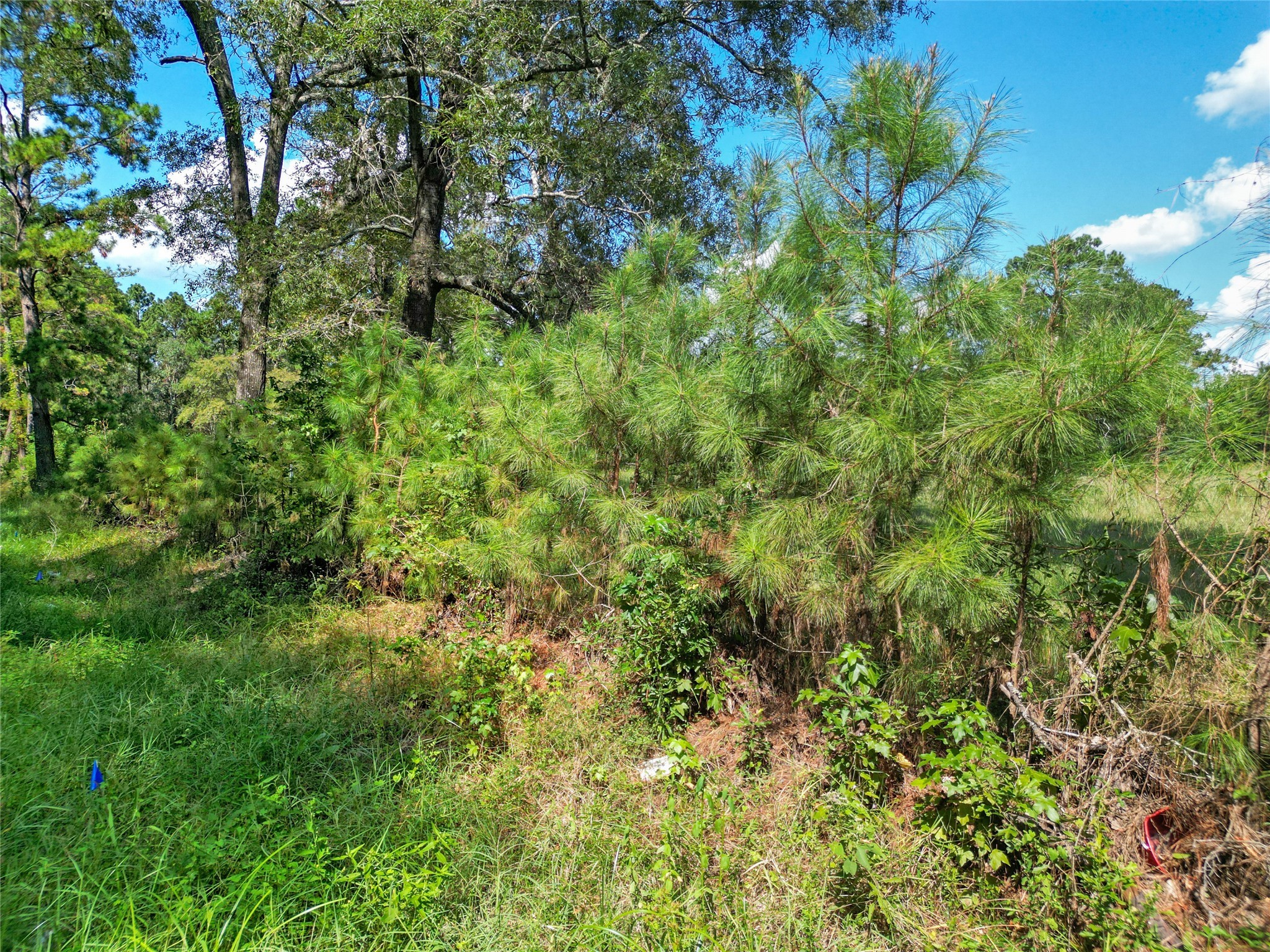 Tbd Fm 3152 Property Photo 9