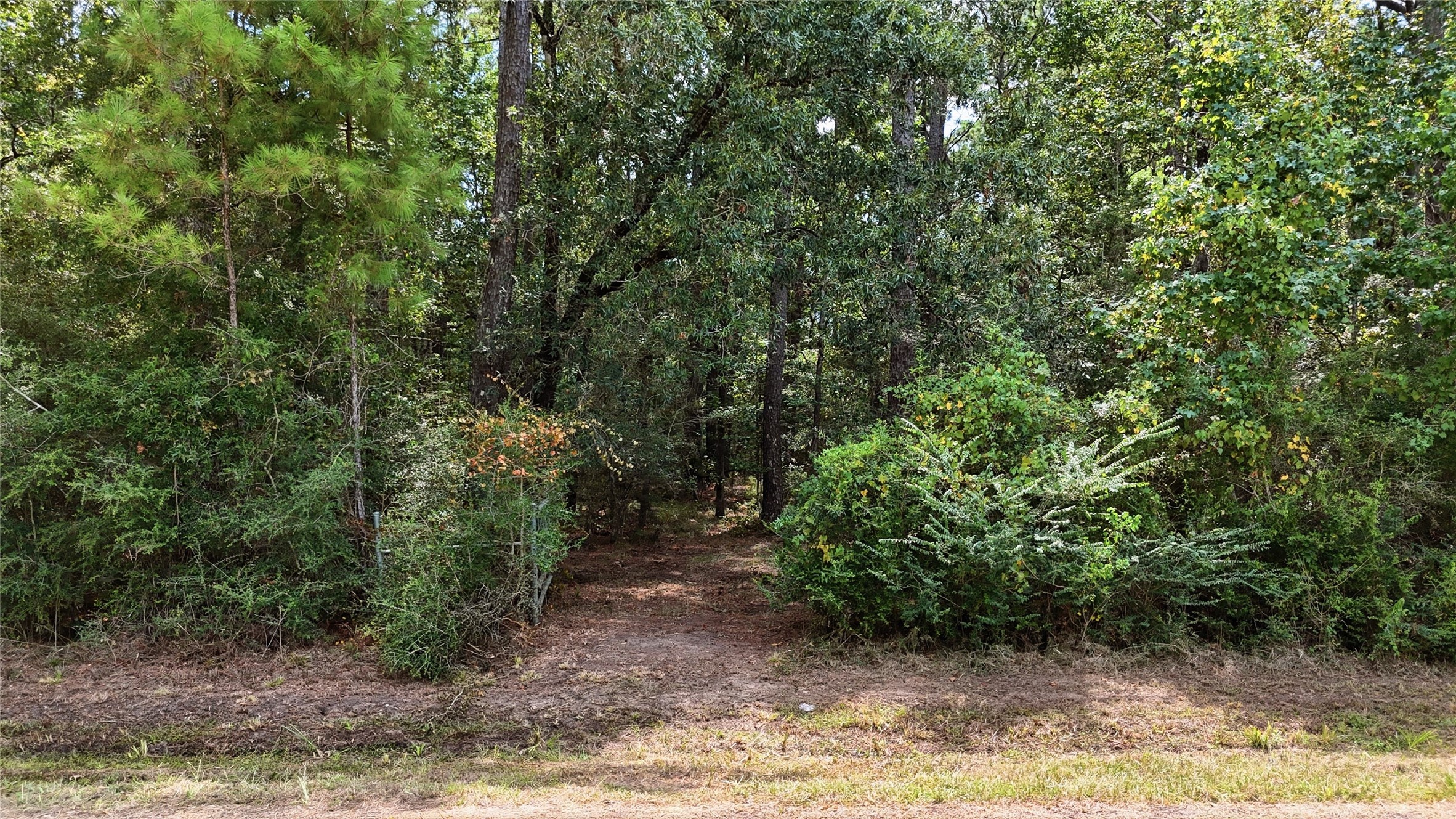 126 County Road 126 Property Photo
