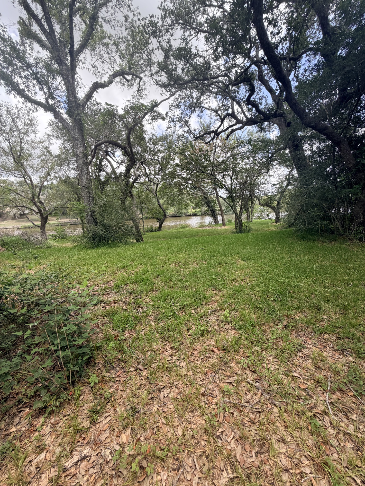 468 Riverside Drive Property Photo 9