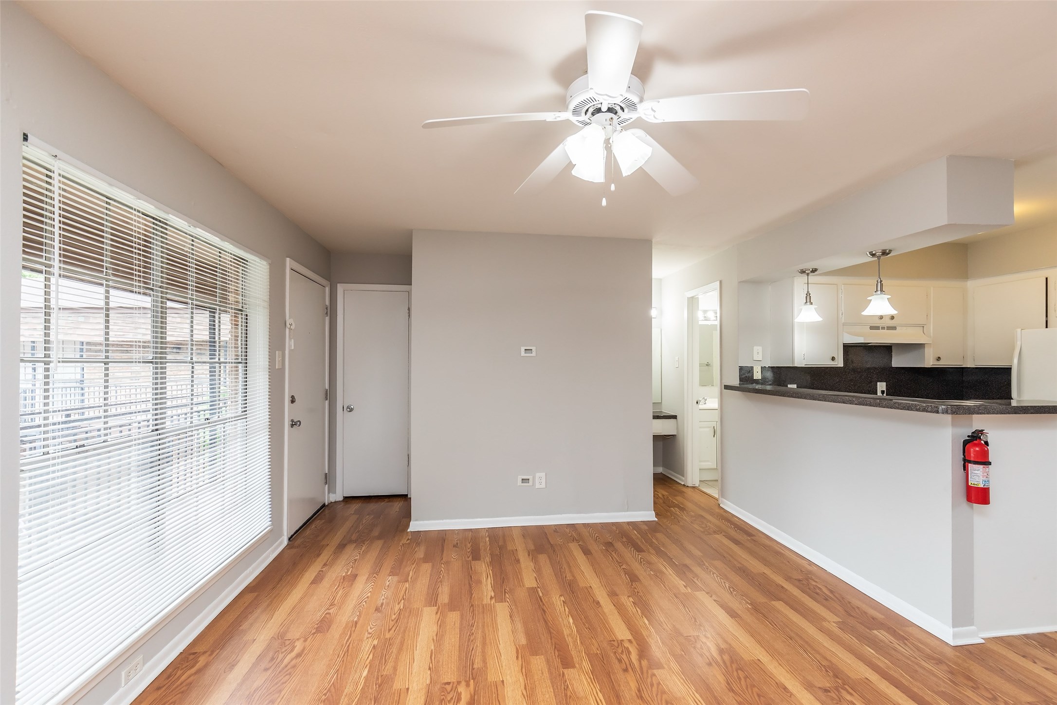 425 Emerson Street 4 Property Photo 6