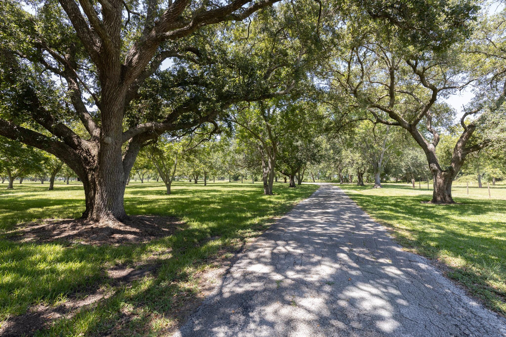 3042a Poskey Road, Anahuac Tx 77514 Property Photo 8