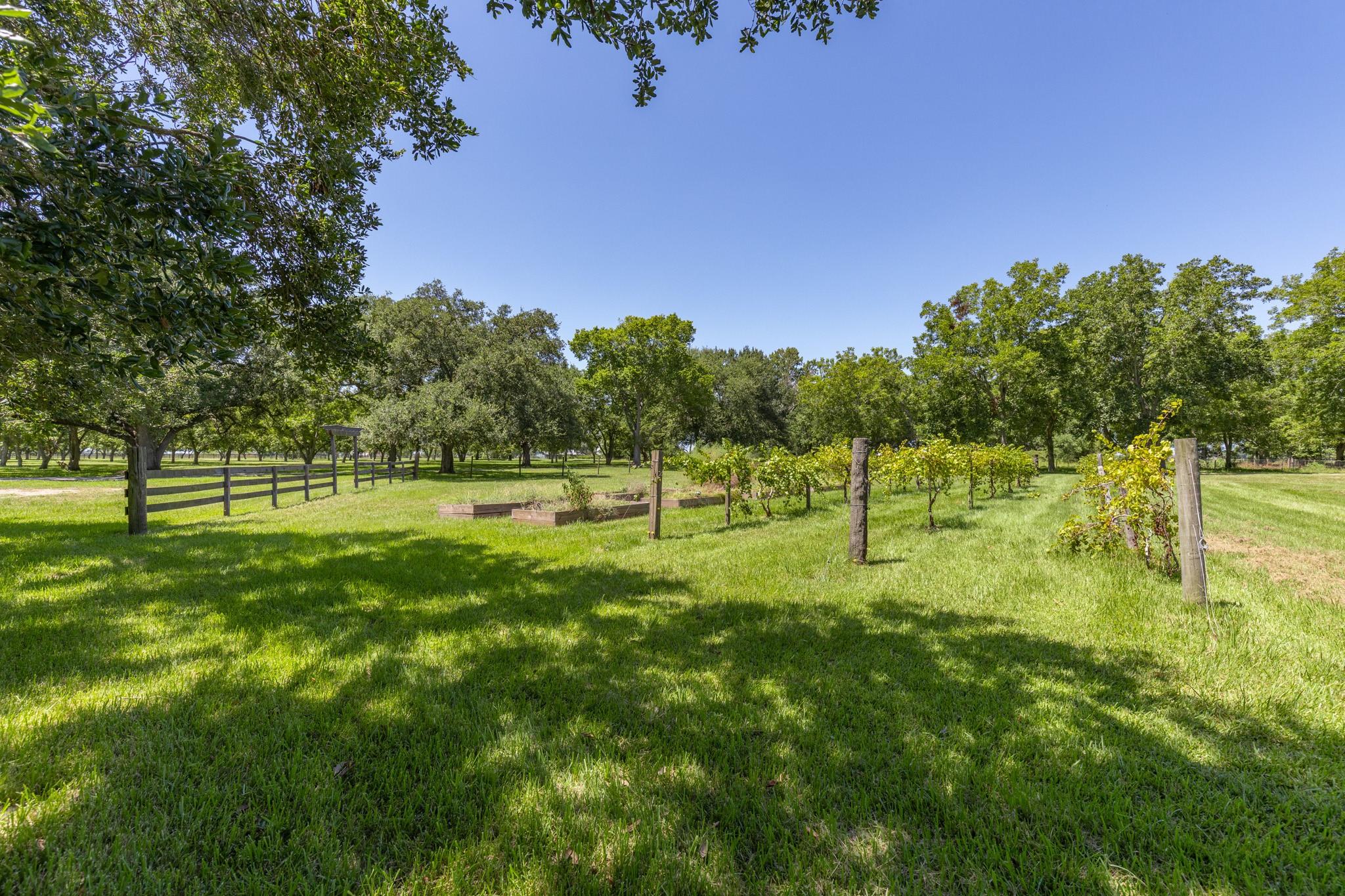 3042a Poskey Road, Anahuac Tx 77514 Property Photo 12