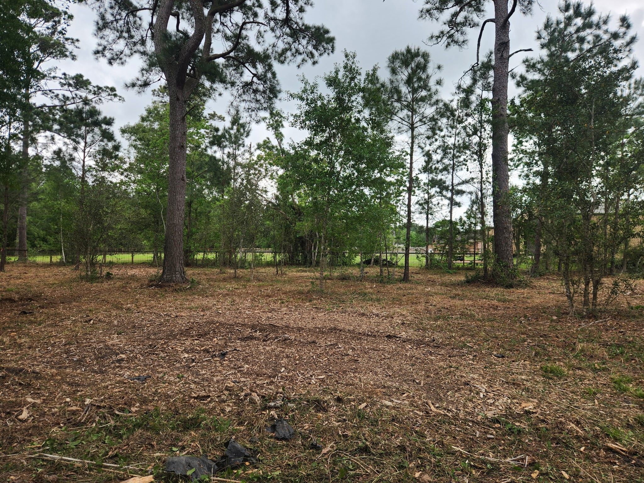7203 Bayou Timbers Drive Property Photo 9