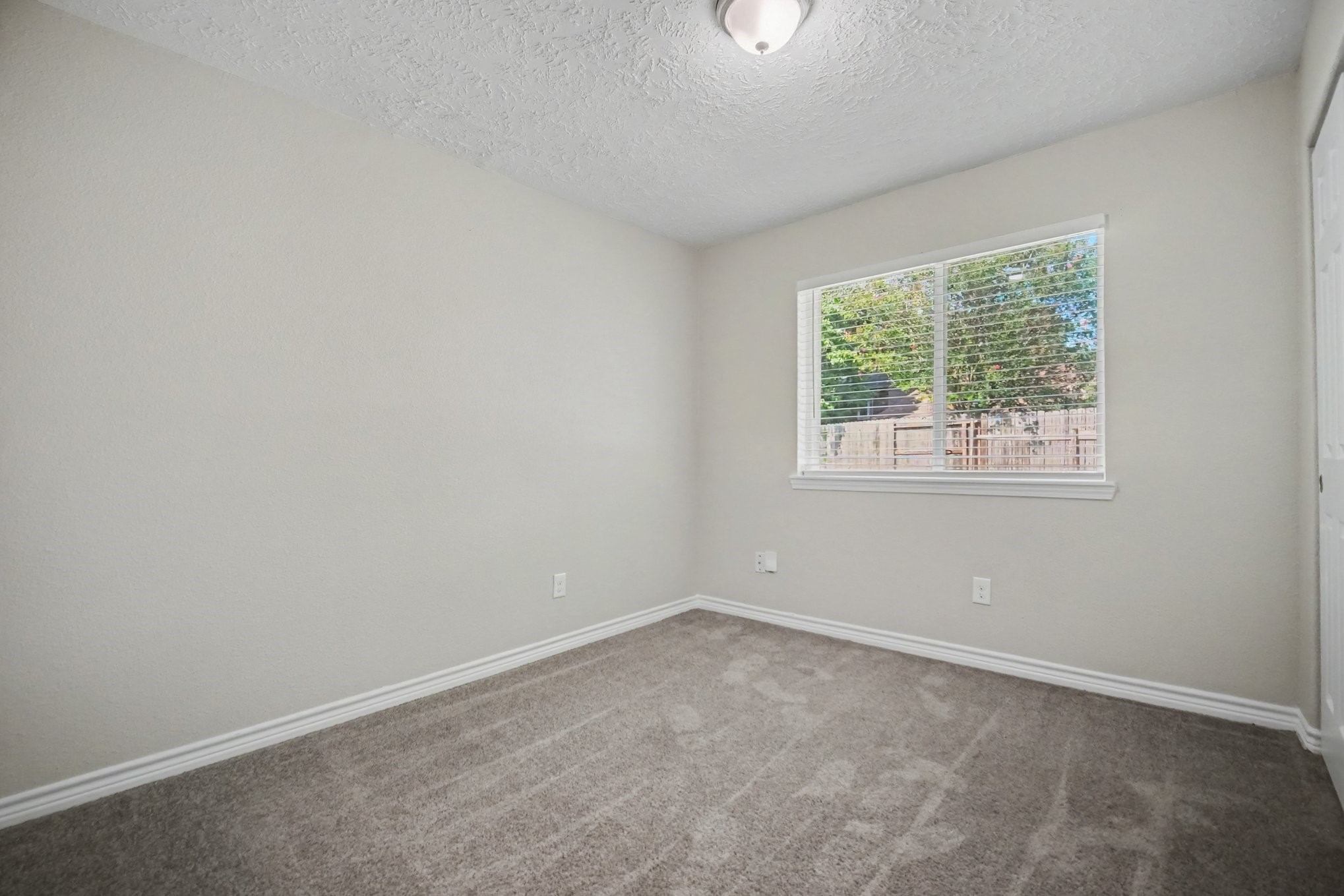 12843 Bamboo Forest Trail Property Photo 10