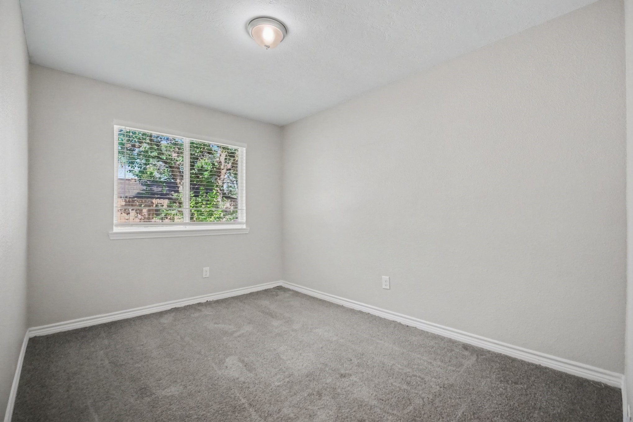 12843 Bamboo Forest Trail Property Photo 13