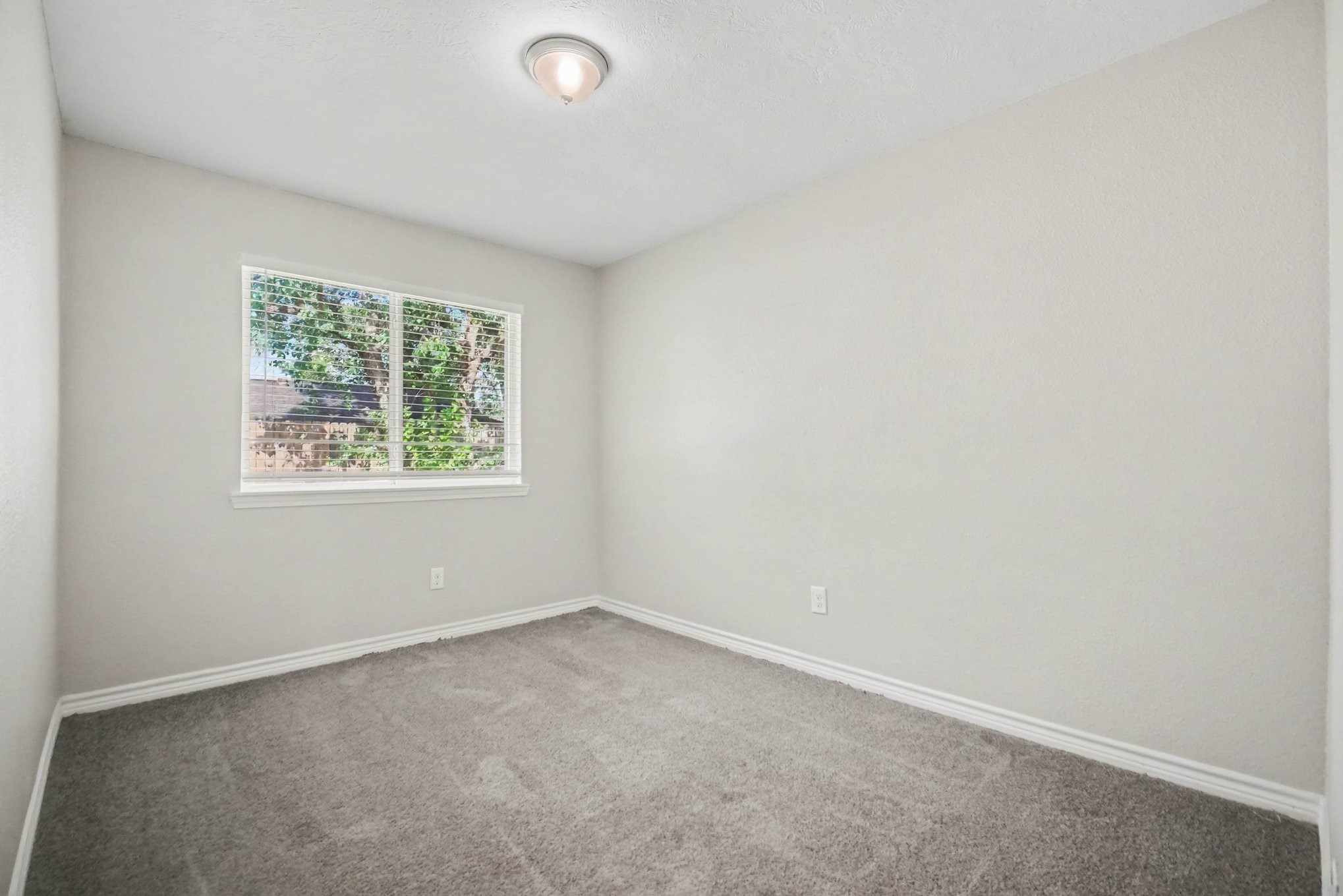 12843 Bamboo Forest Trail Property Photo 20