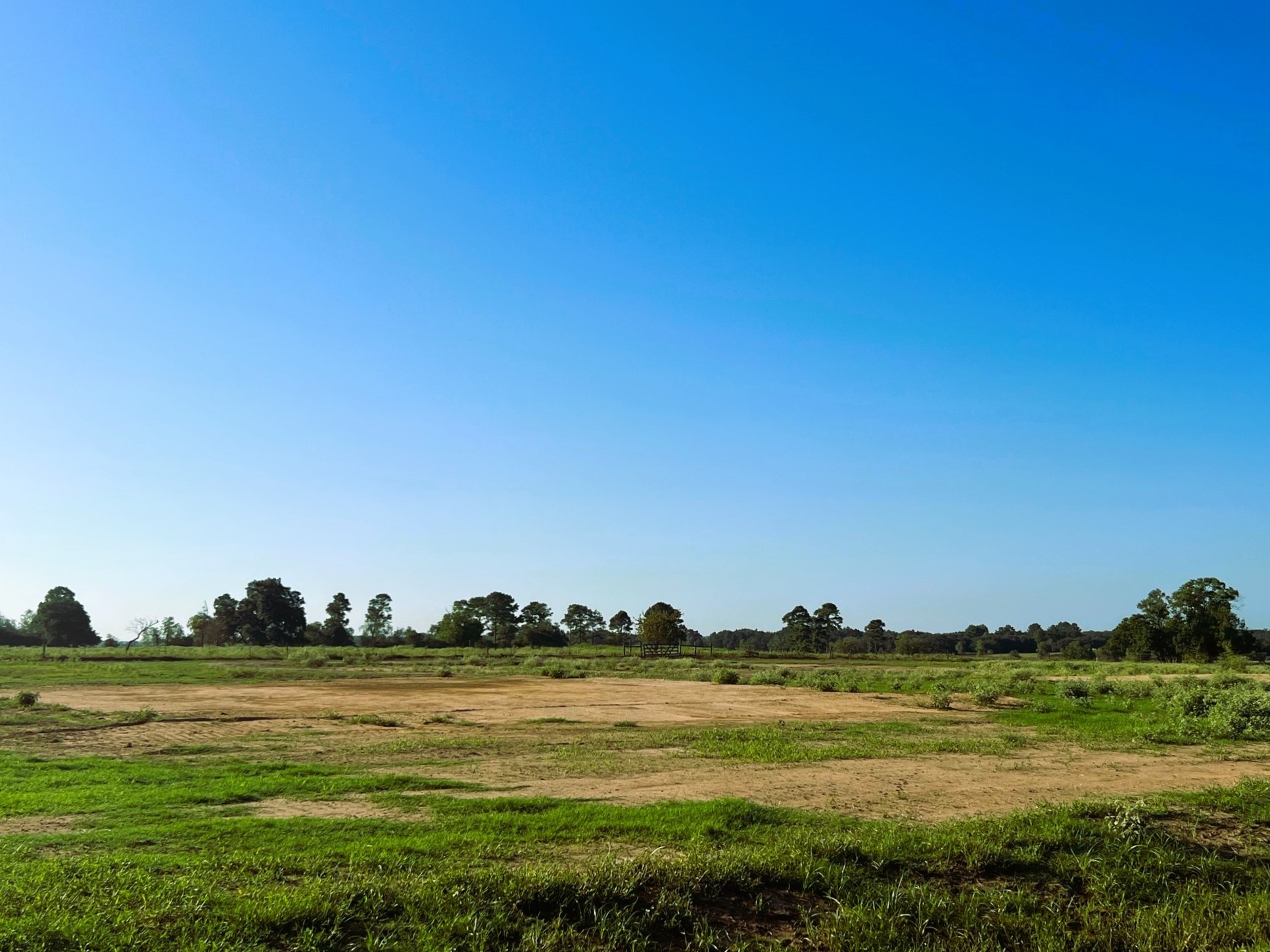 Lot 47 - 1.2382 Acres Settlers Reserve Drive Property Photo 8