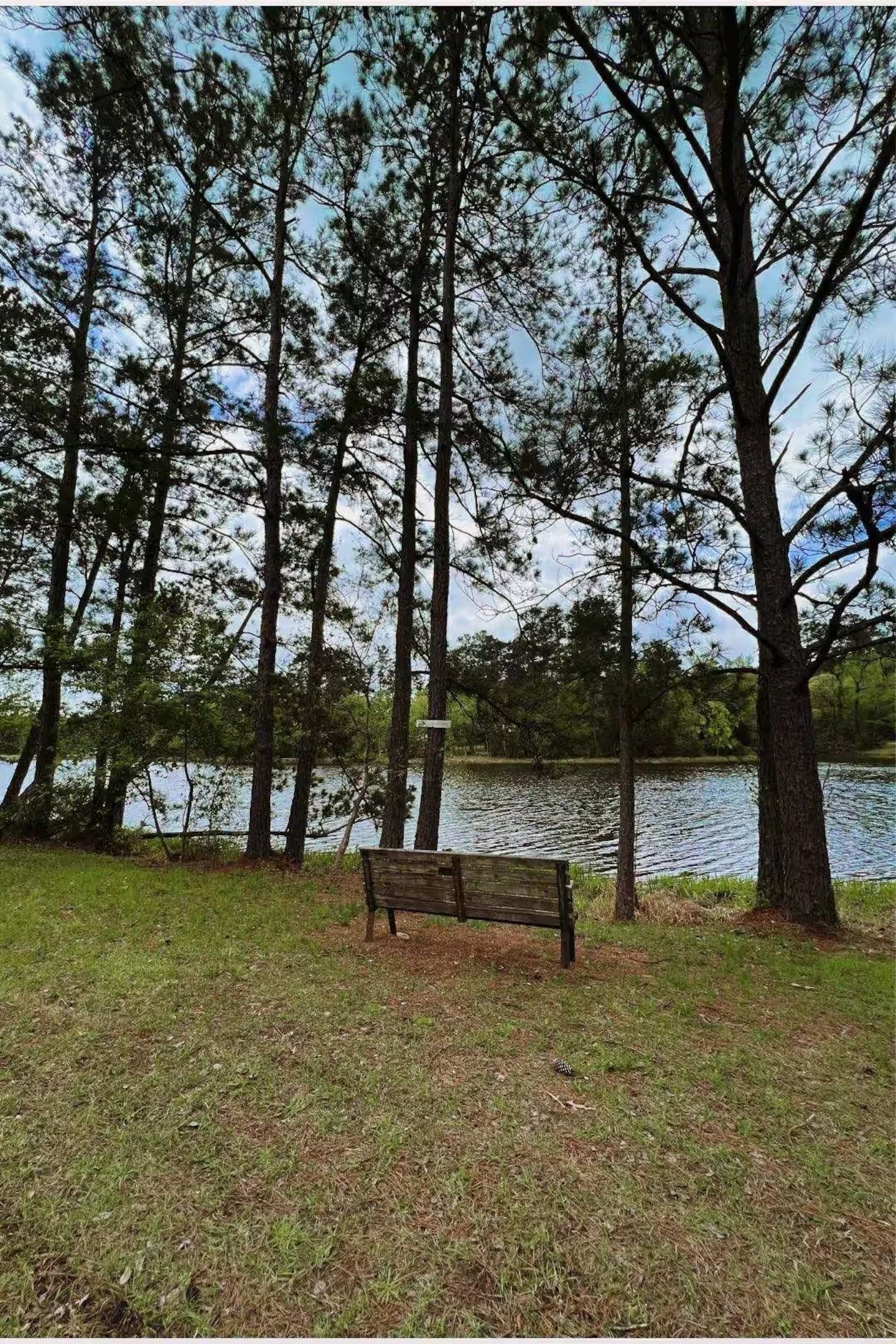 15734 Holly Dr Property Photo 8