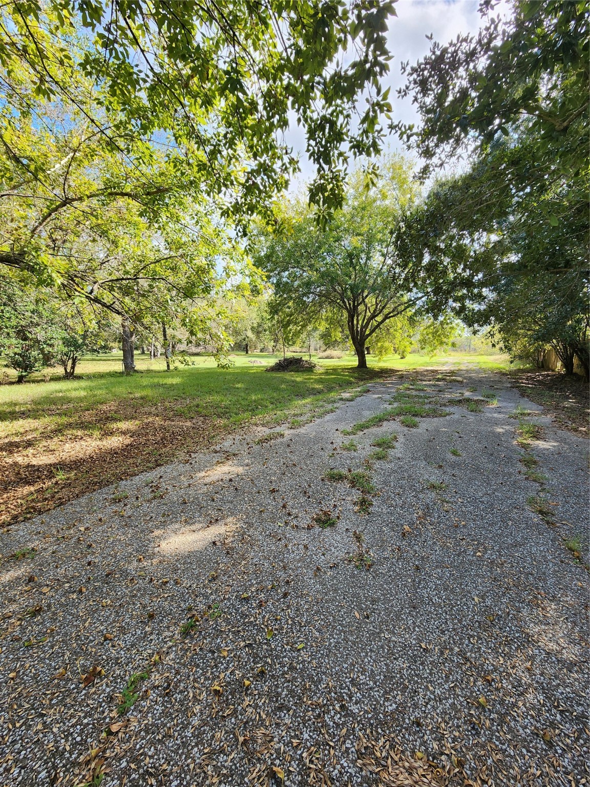 2200 Golden Avenue Property Photo 25