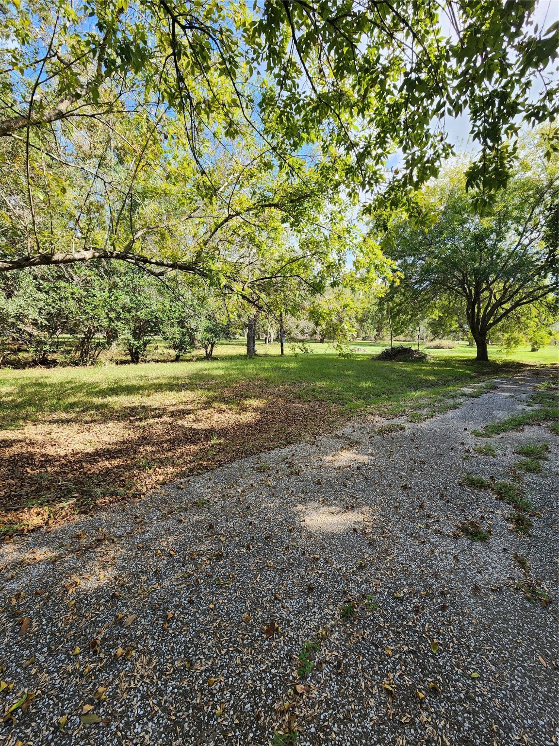 2200 Golden Avenue Property Photo 26