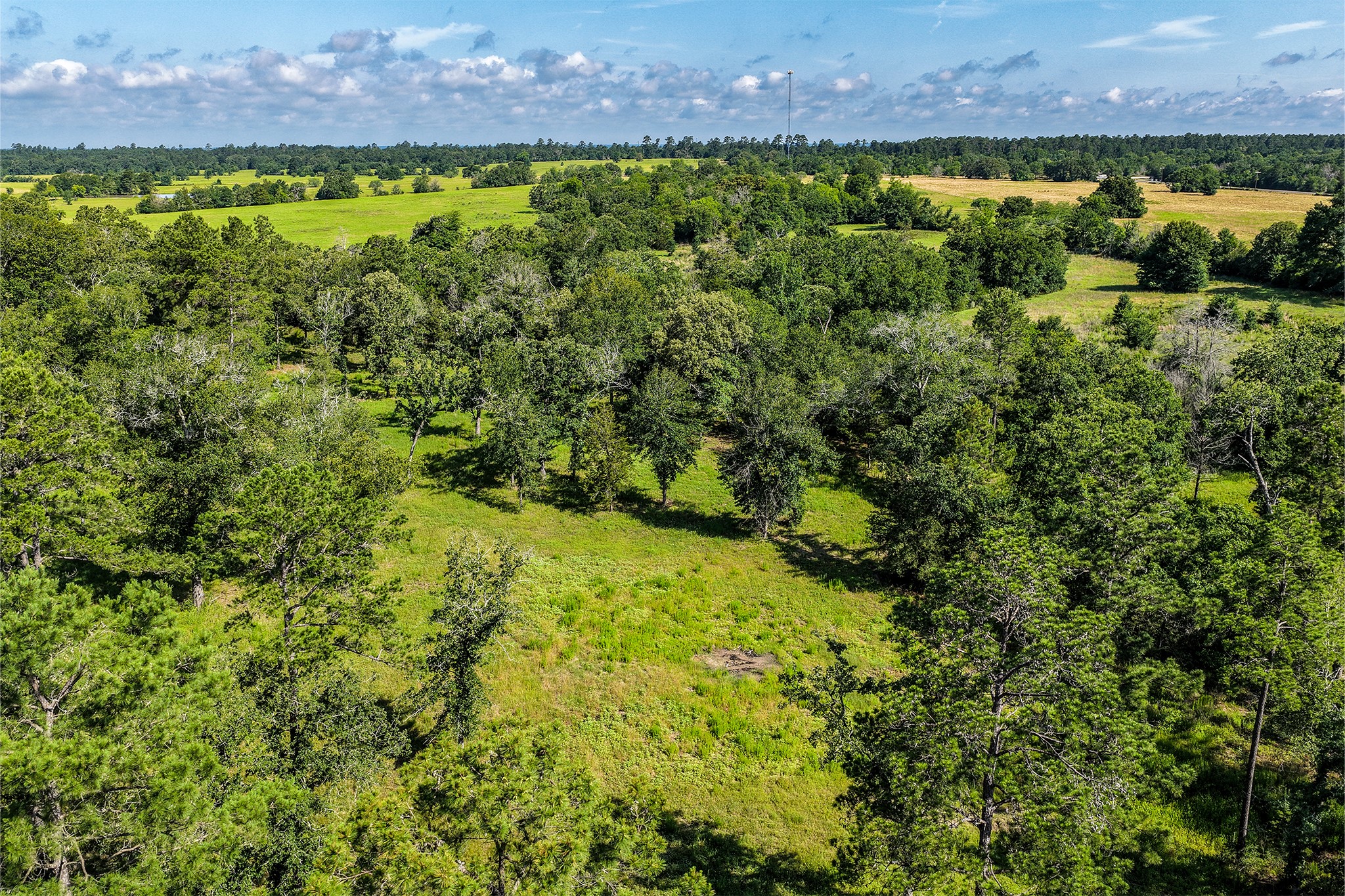 14.5 Ac Westview Dr Property Photo 4