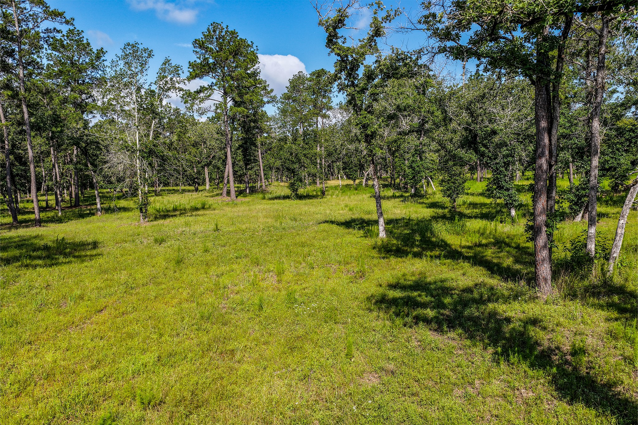 14.5 Ac Westview Dr Property Photo 5